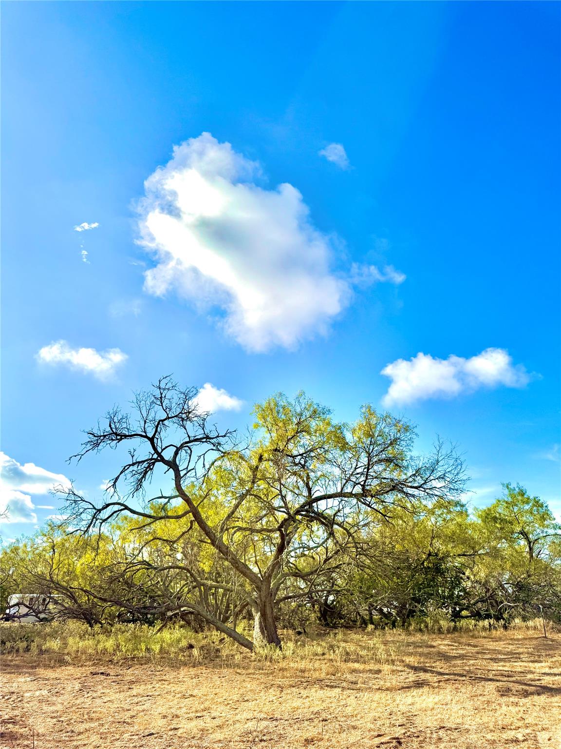 6052 Tenney Creek Rd, Luling, TX 78648