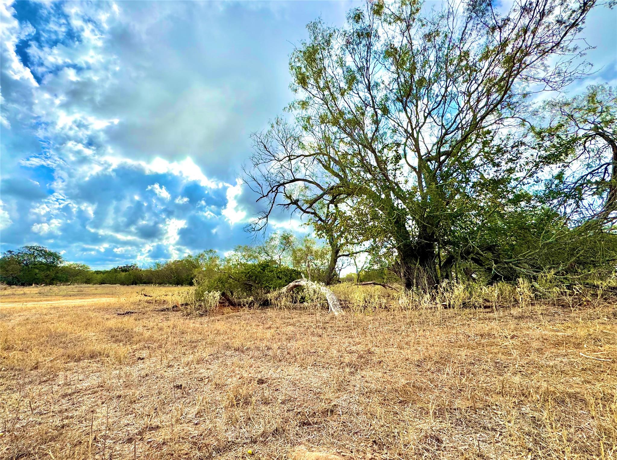 6052 Tenney Creek Rd, Luling, TX 78648