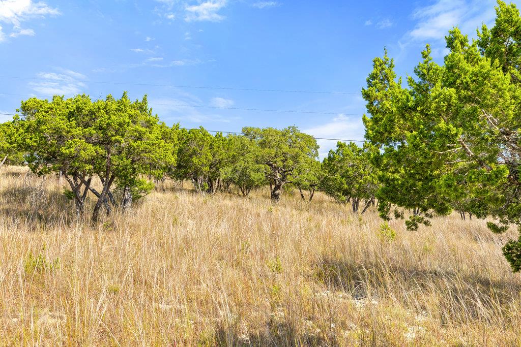 Tract 2 of 5818 Ranch Road 165, Blanco, TX 78606