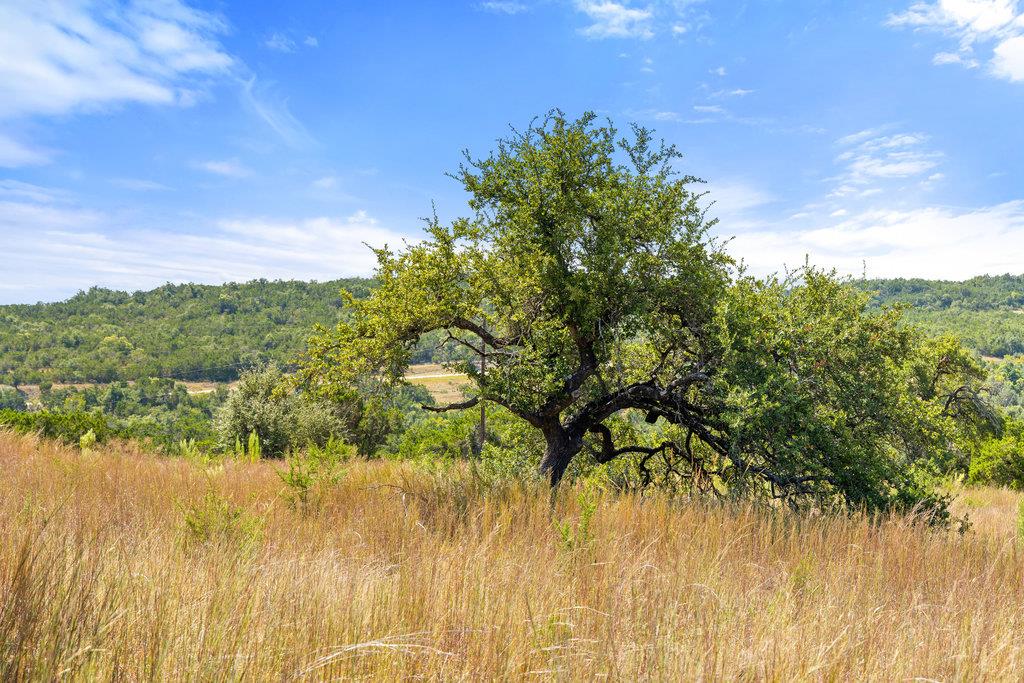 Tract 2 of 5818 Ranch Road 165, Blanco, TX 78606