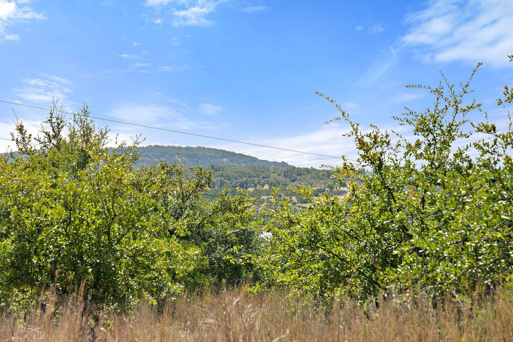 Tract 2 of 5818 Ranch Road 165, Blanco, TX 78606