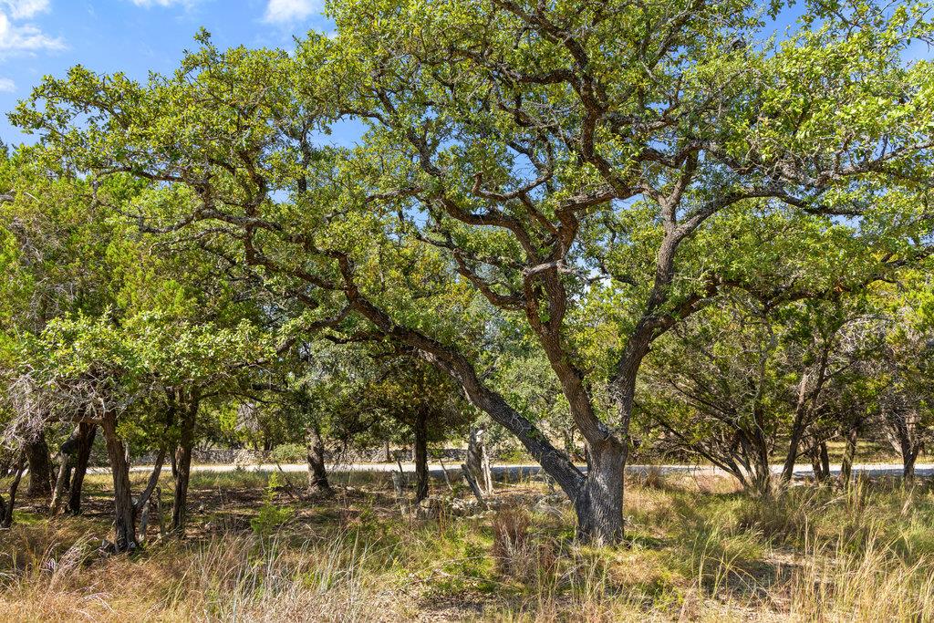 Tract 2 of 5818 Ranch Road 165, Blanco, TX 78606