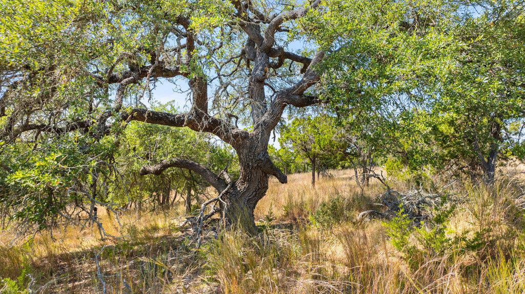 Tract 2 of 5818 Ranch Road 165, Blanco, TX 78606