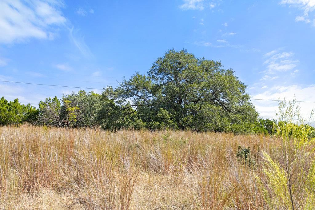 Tract 2 of 5818 Ranch Road 165, Blanco, TX 78606