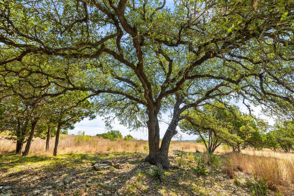 Tract 2 of 5818 Ranch Road 165, Blanco, TX 78606