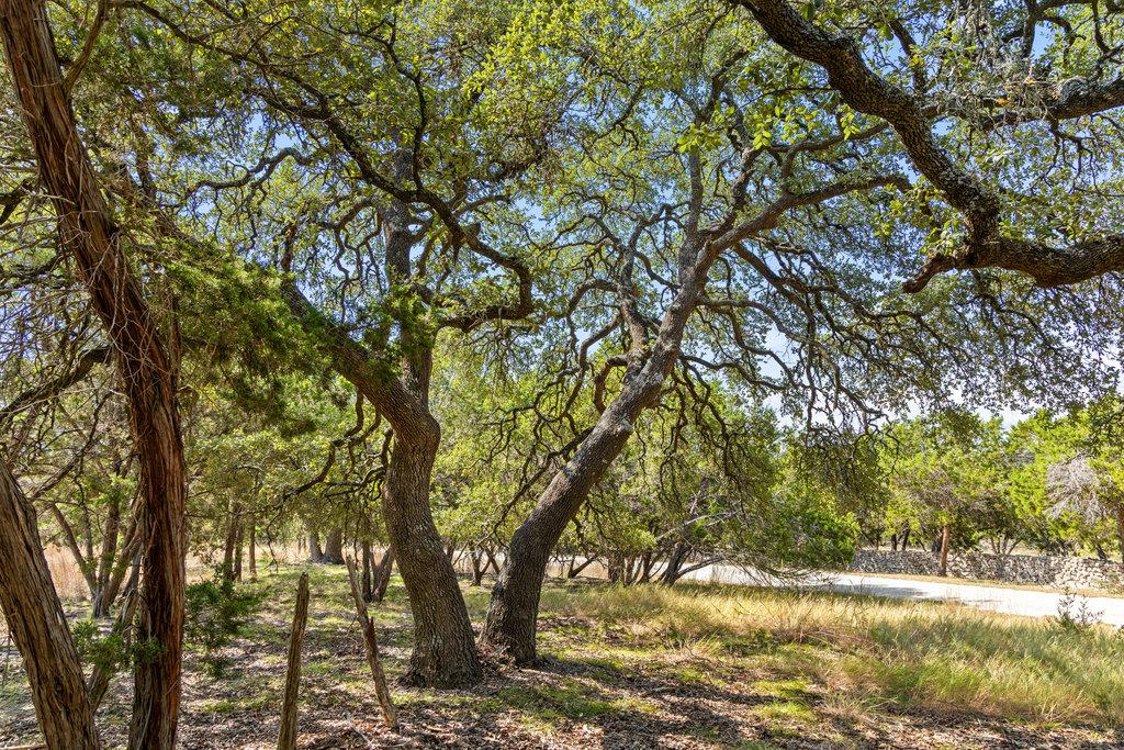 Tract 2 of 5818 Ranch Road 165, Blanco, TX 78606