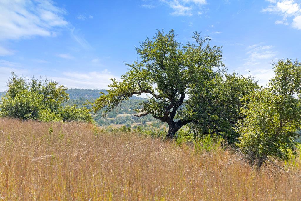 Tract 2 of 5818 Ranch Road 165, Blanco, TX 78606