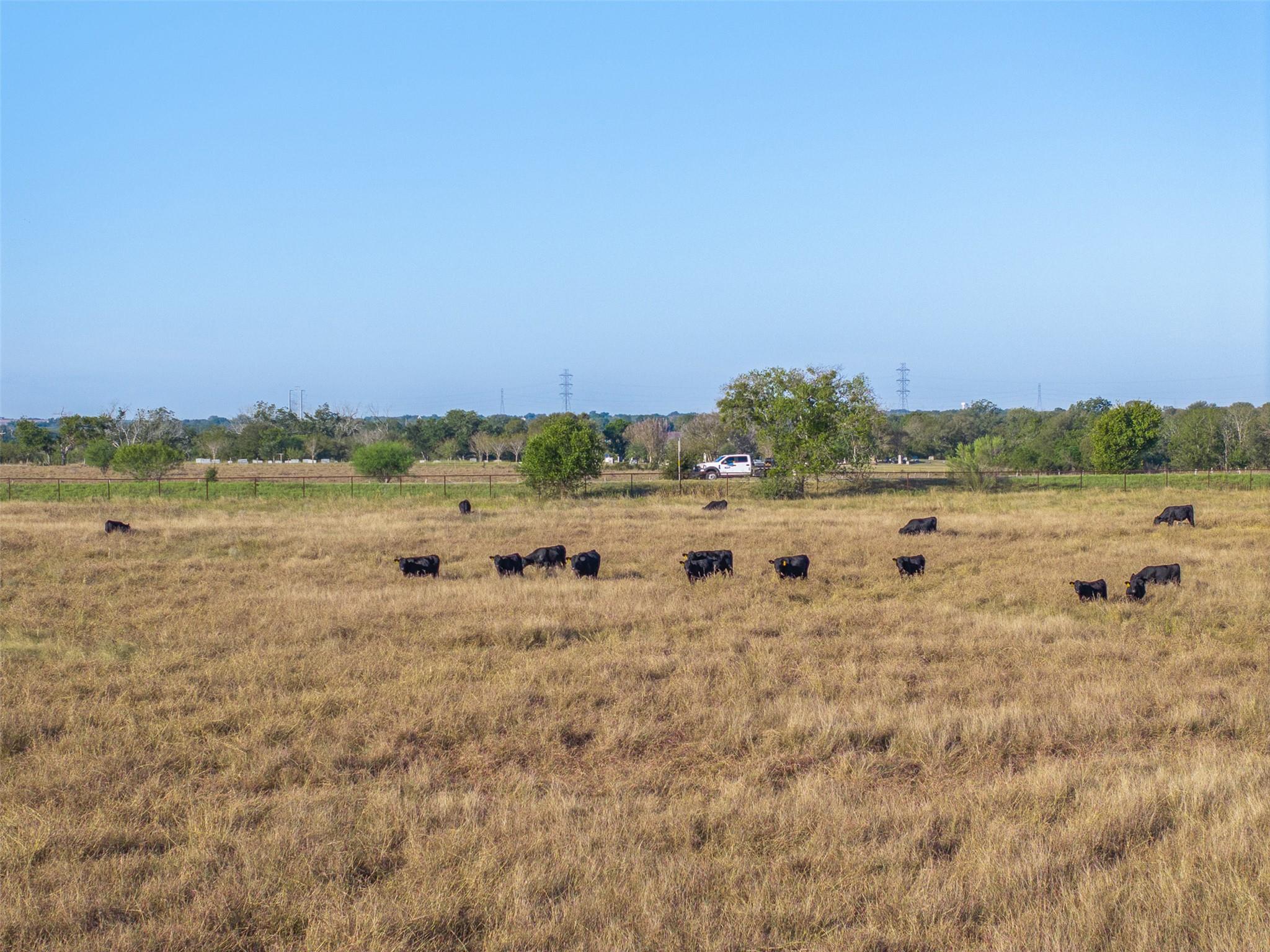 15350 San Marcos Highway, Martindale, TX 78655