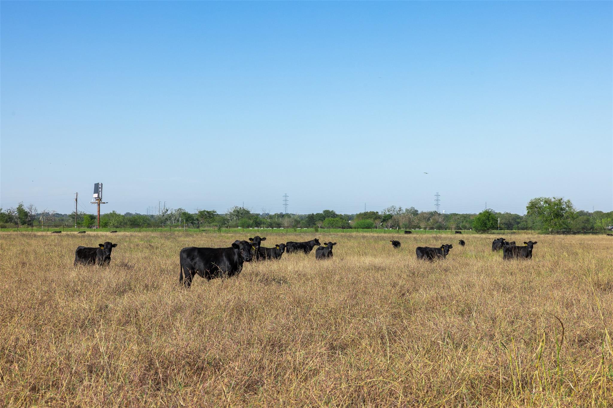 15350 San Marcos Highway, Martindale, TX 78655