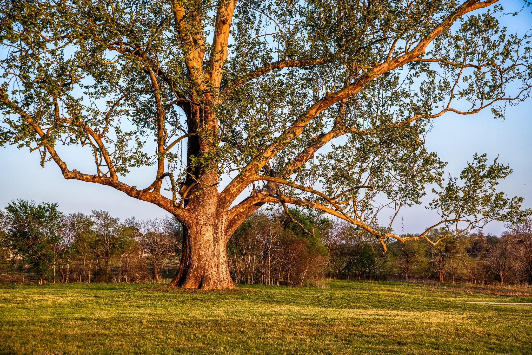 3401 US Highway 290 Highway E, Brenham, TX 77833