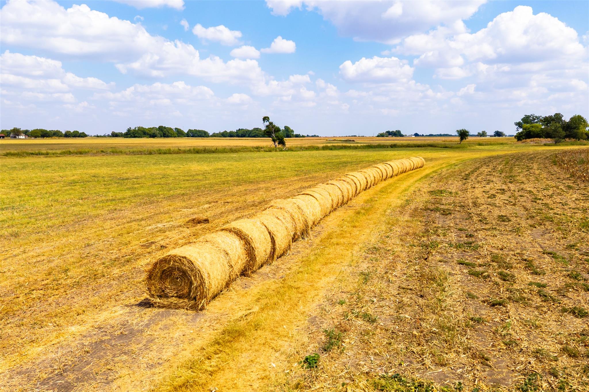 00 FM 1660, Taylor, TX 76574