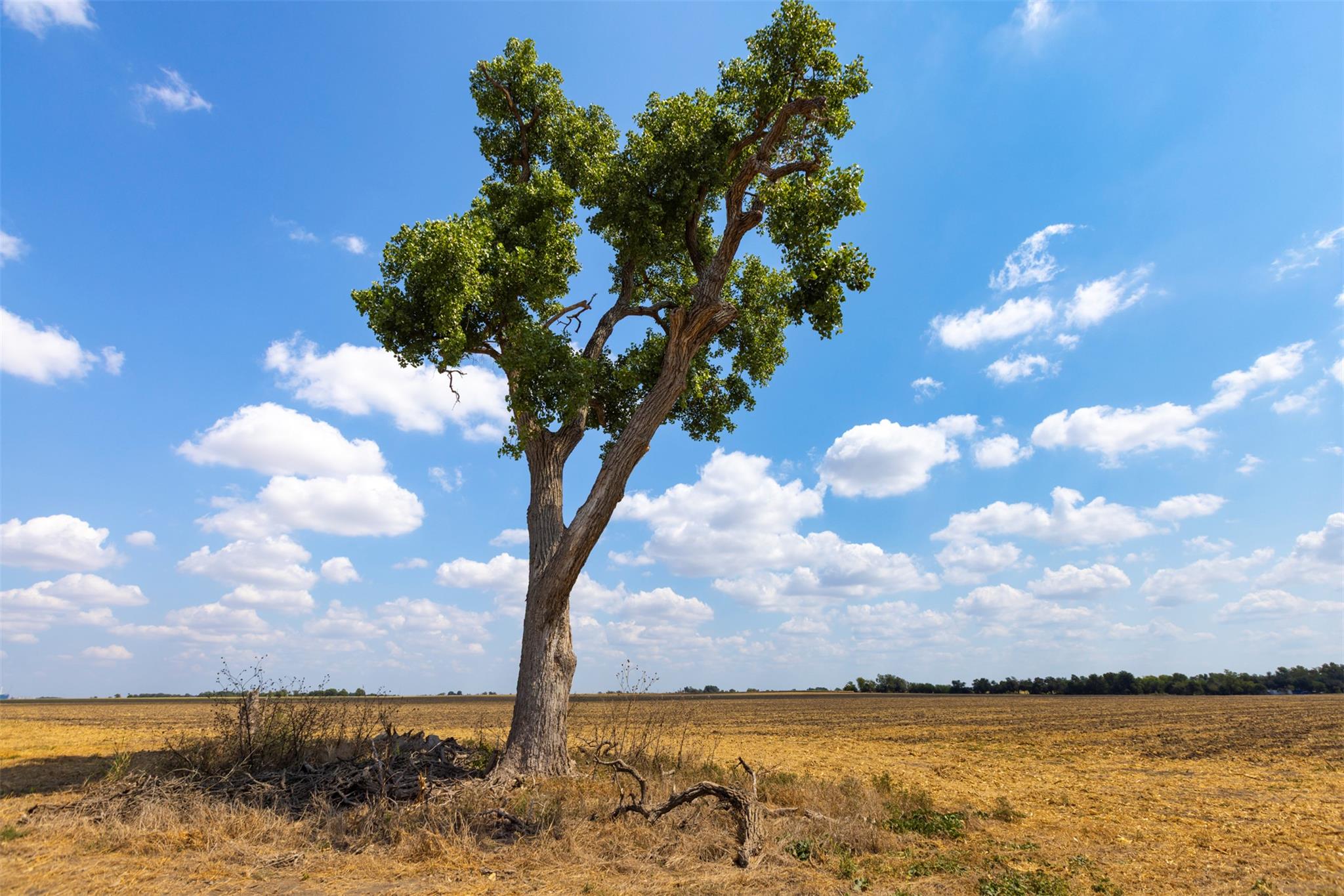 TBD FM 1660, Taylor, TX 76574