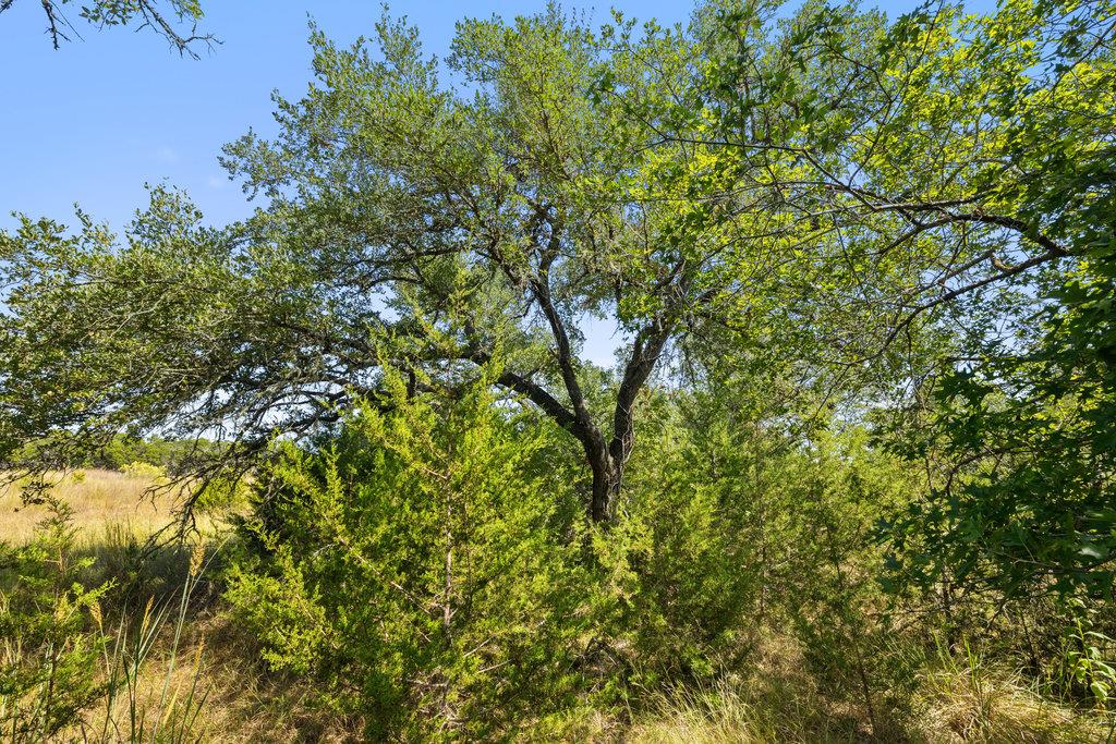 Tract 3 of 5818 Ranch Road 165, Blanco, TX 78606