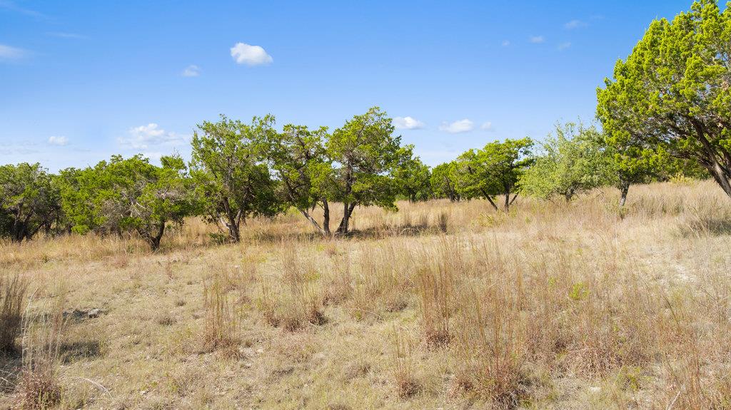 Tract 3 of 5818 Ranch Road 165, Blanco, TX 78606