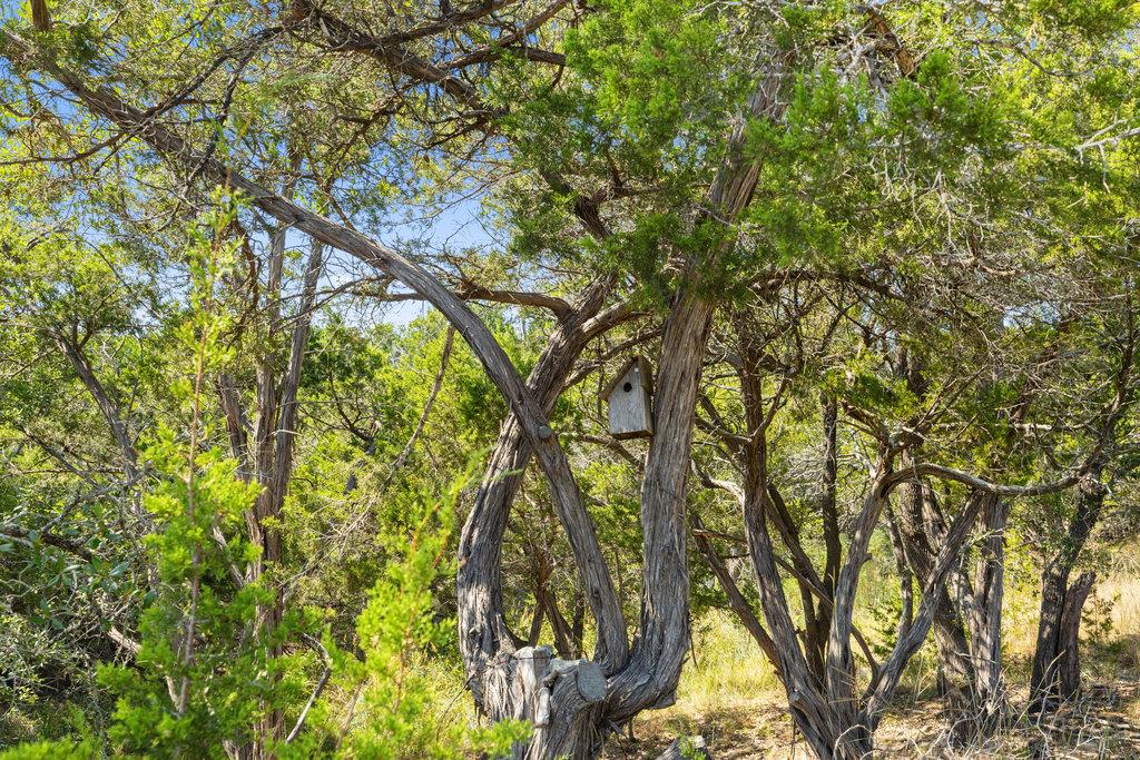 Tract 3 of 5818 Ranch Road 165, Blanco, TX 78606