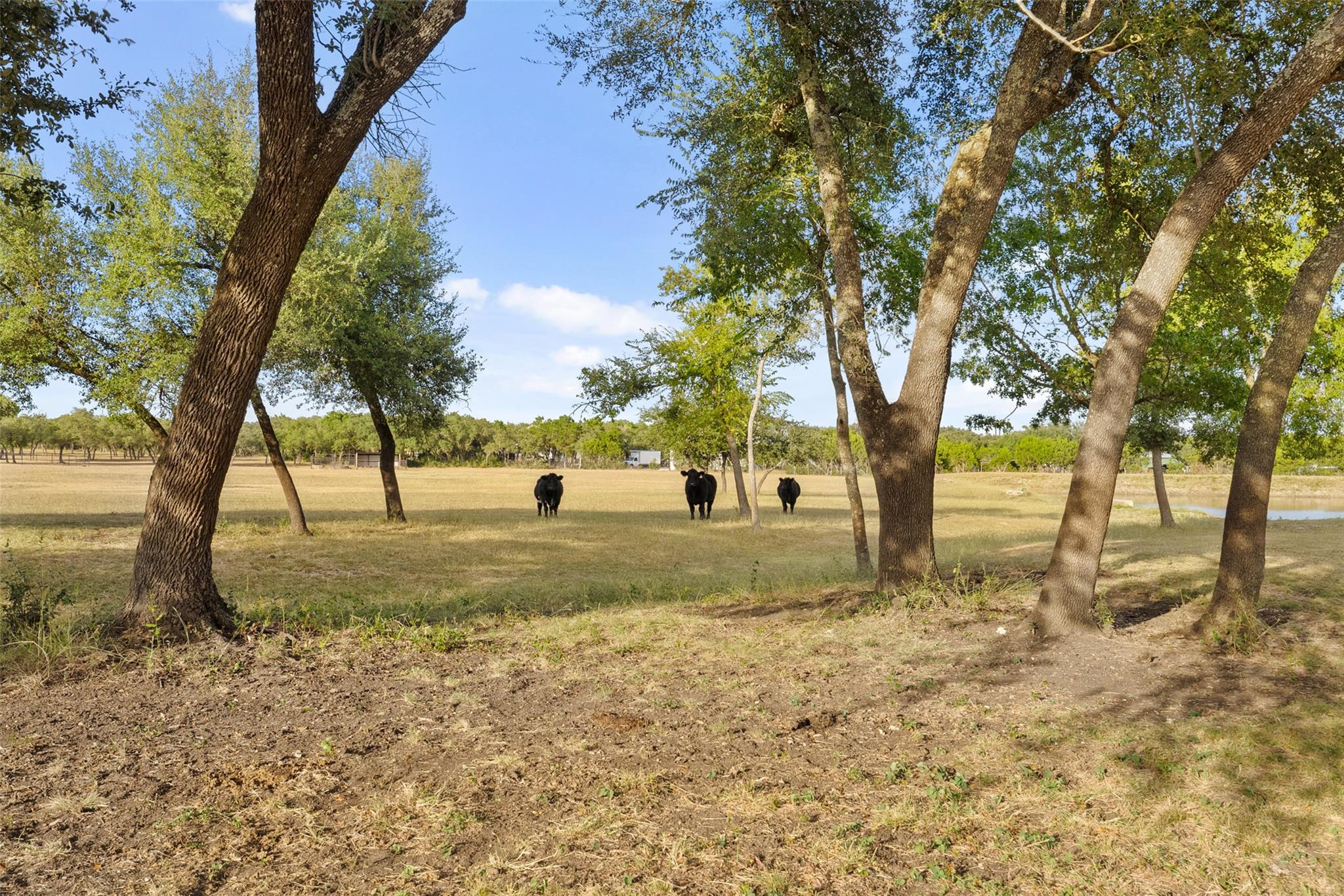 2700 County Road 282 Rd, Leander, TX 78641