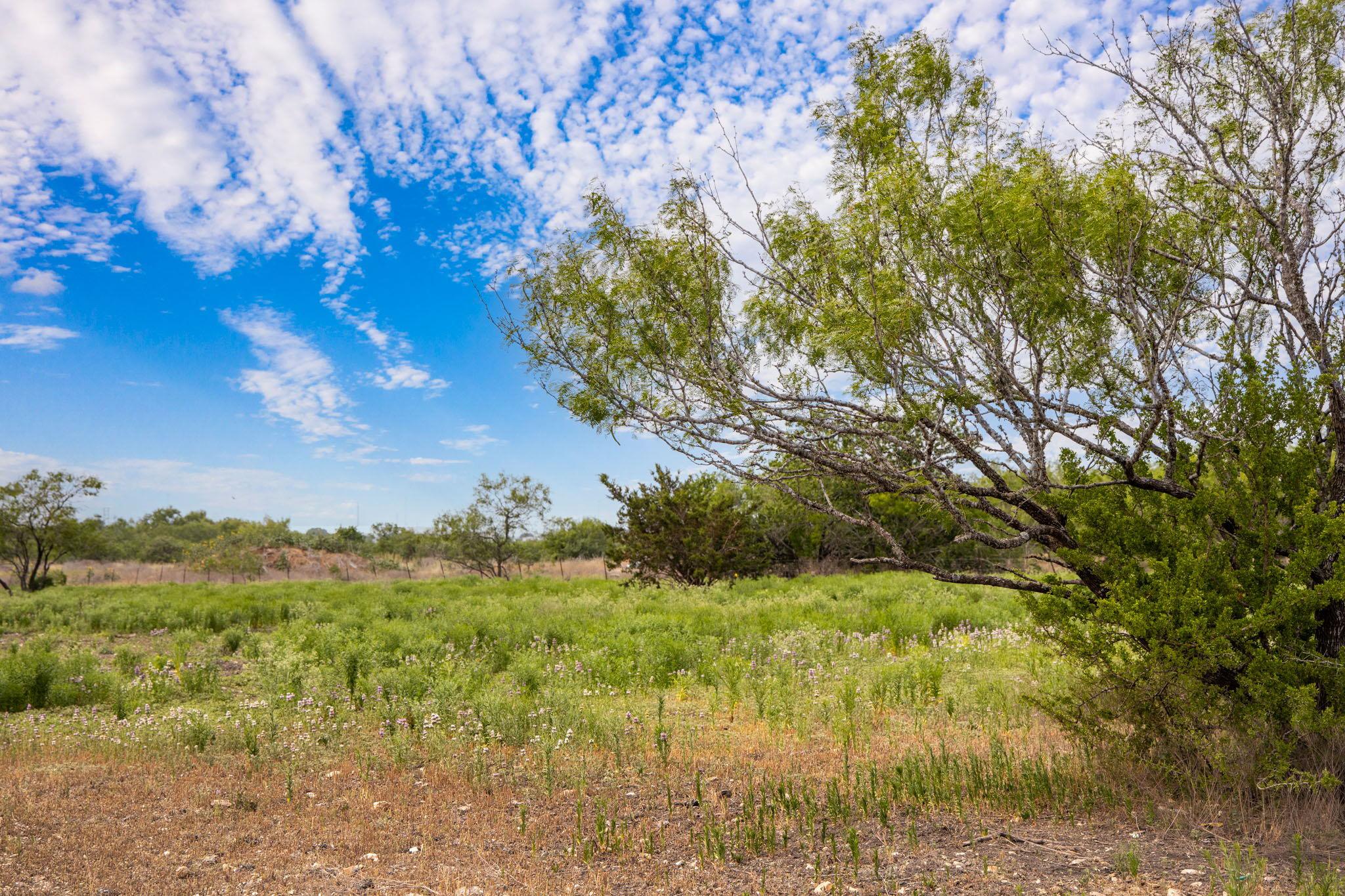 2811 Harris Hill Rd, San Marcos, TX 78666