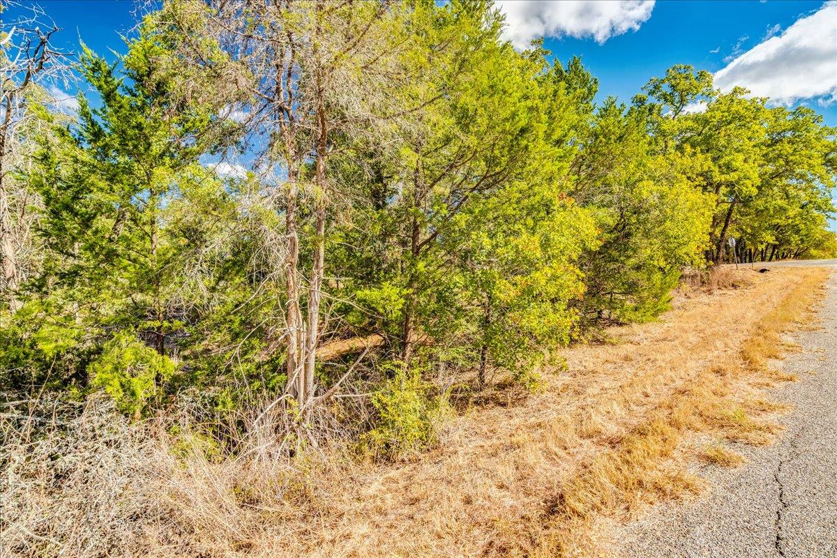 106 Wampum, Smithville, TX 78957