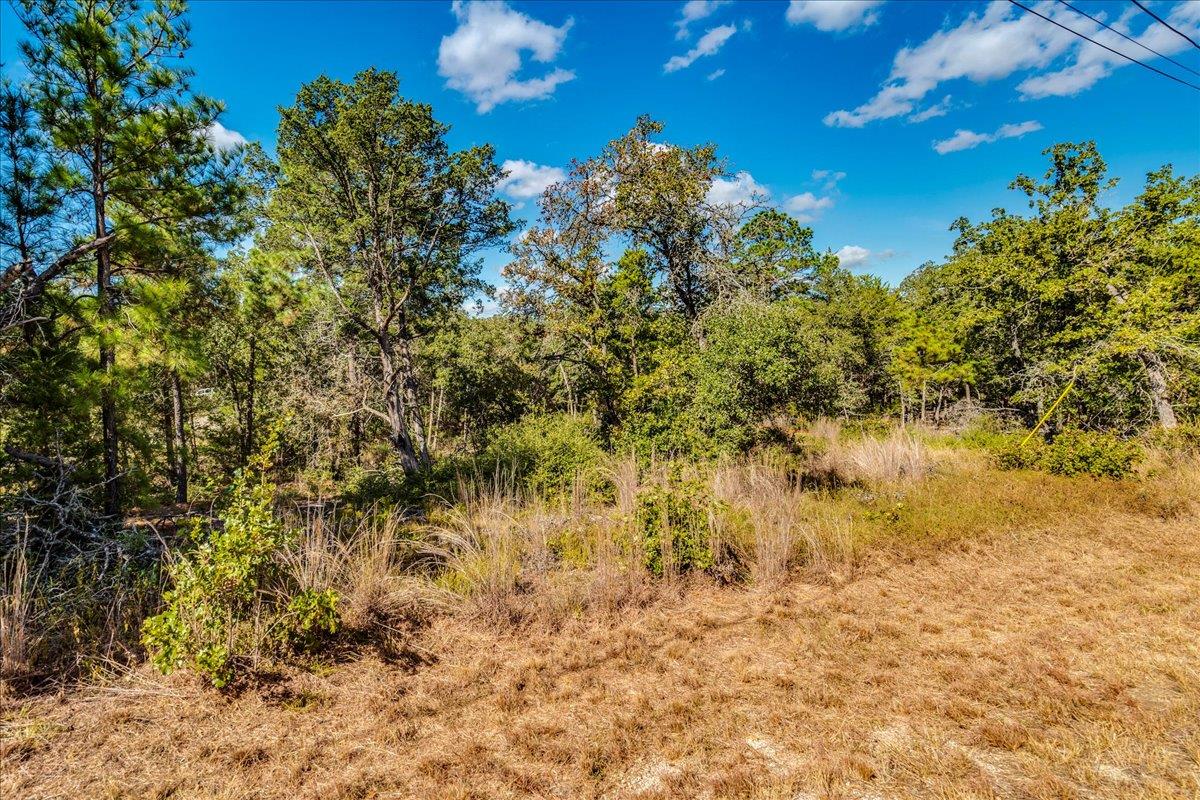 106 Wampum, Smithville, TX 78957