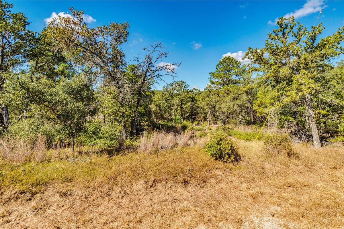 106 Wampum, Smithville, TX 78957