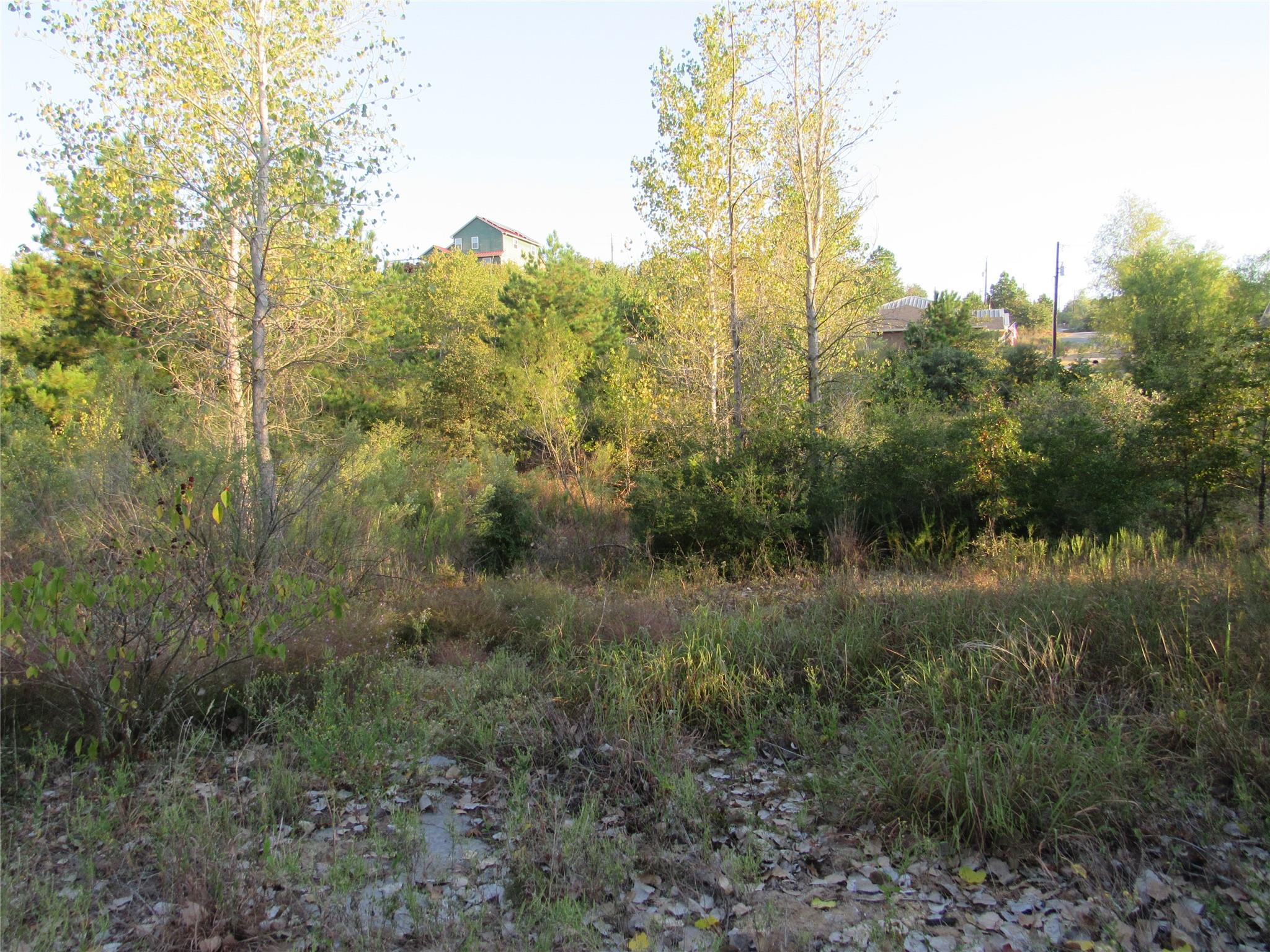 001 Kipahulu Ln, Bastrop, TX 78602