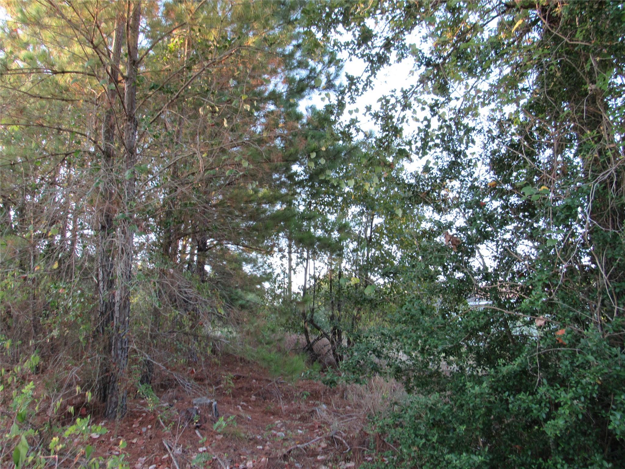 001 Kipahulu Ln, Bastrop, TX 78602