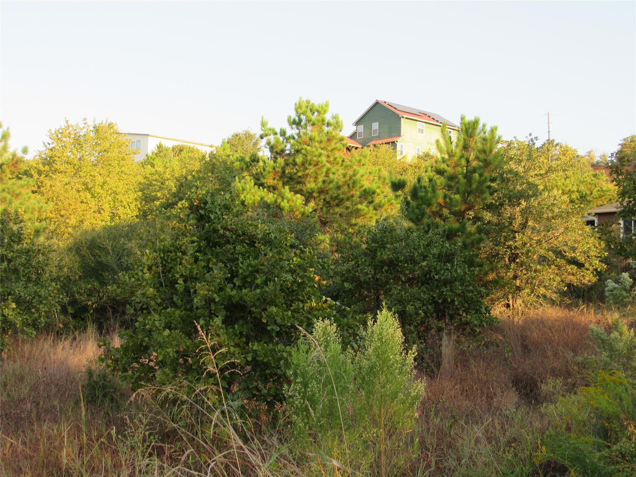 001 Kipahulu Ln, Bastrop, TX 78602