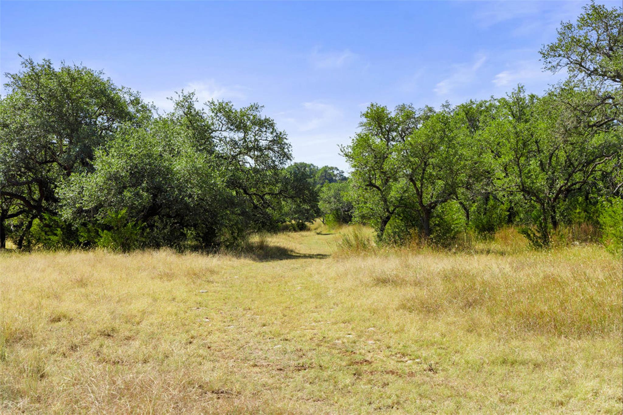 1655 N Walnut Springs Rd, Johnson City, TX 78636