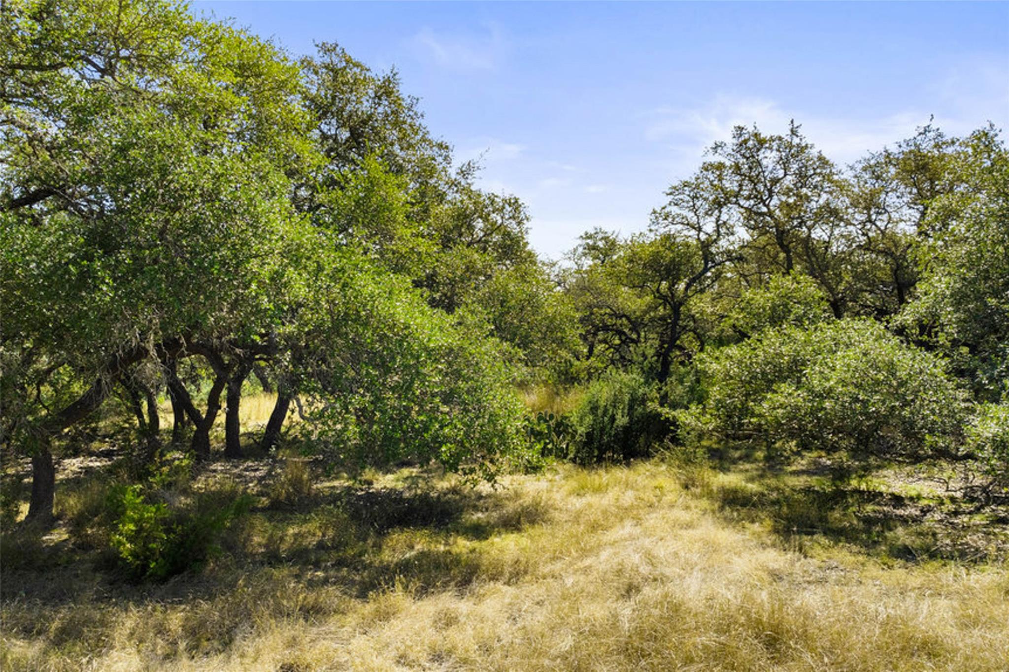 1655 N Walnut Springs Rd, Johnson City, TX 78636