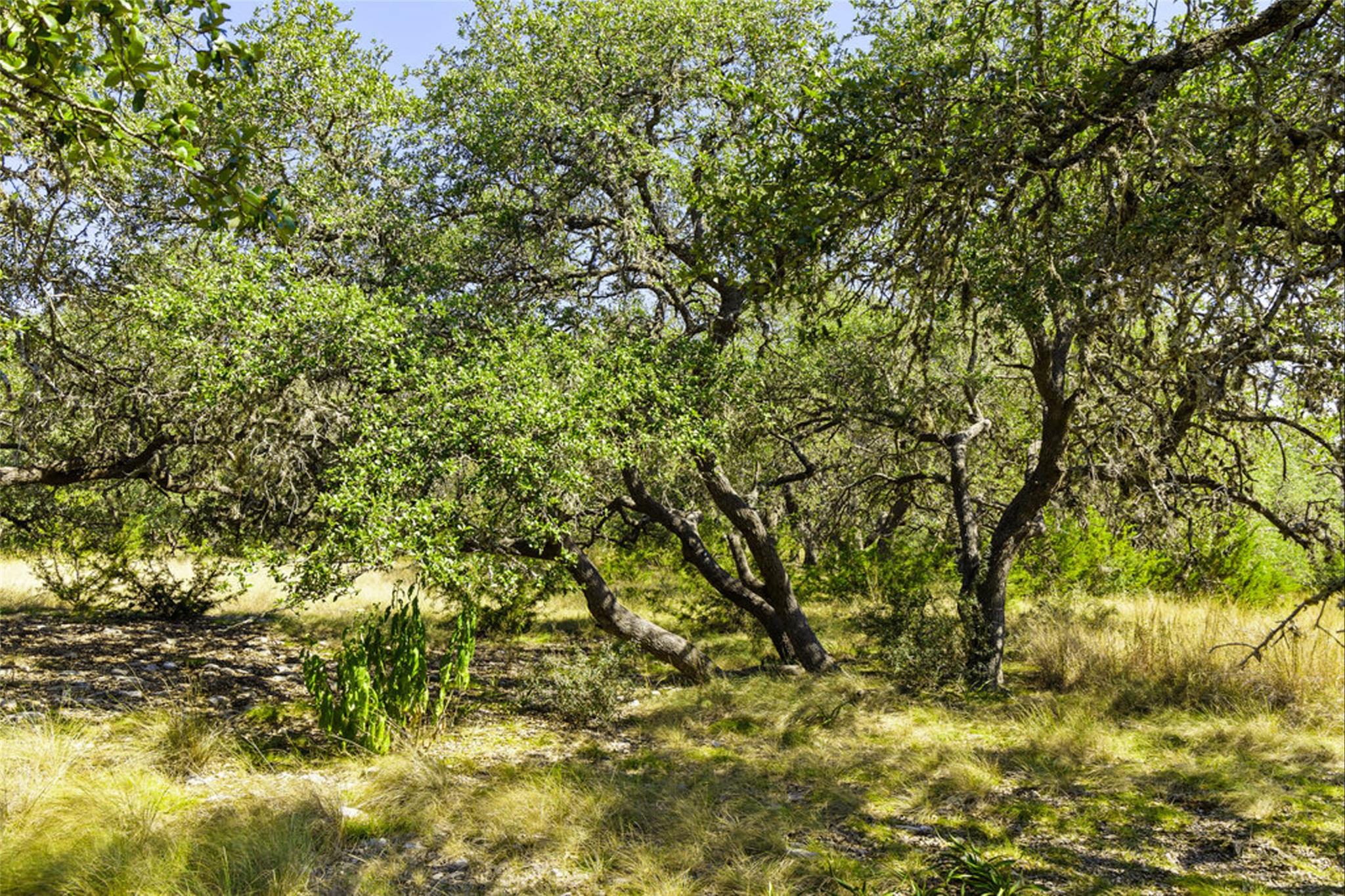 1655 N Walnut Springs Rd, Johnson City, TX 78636