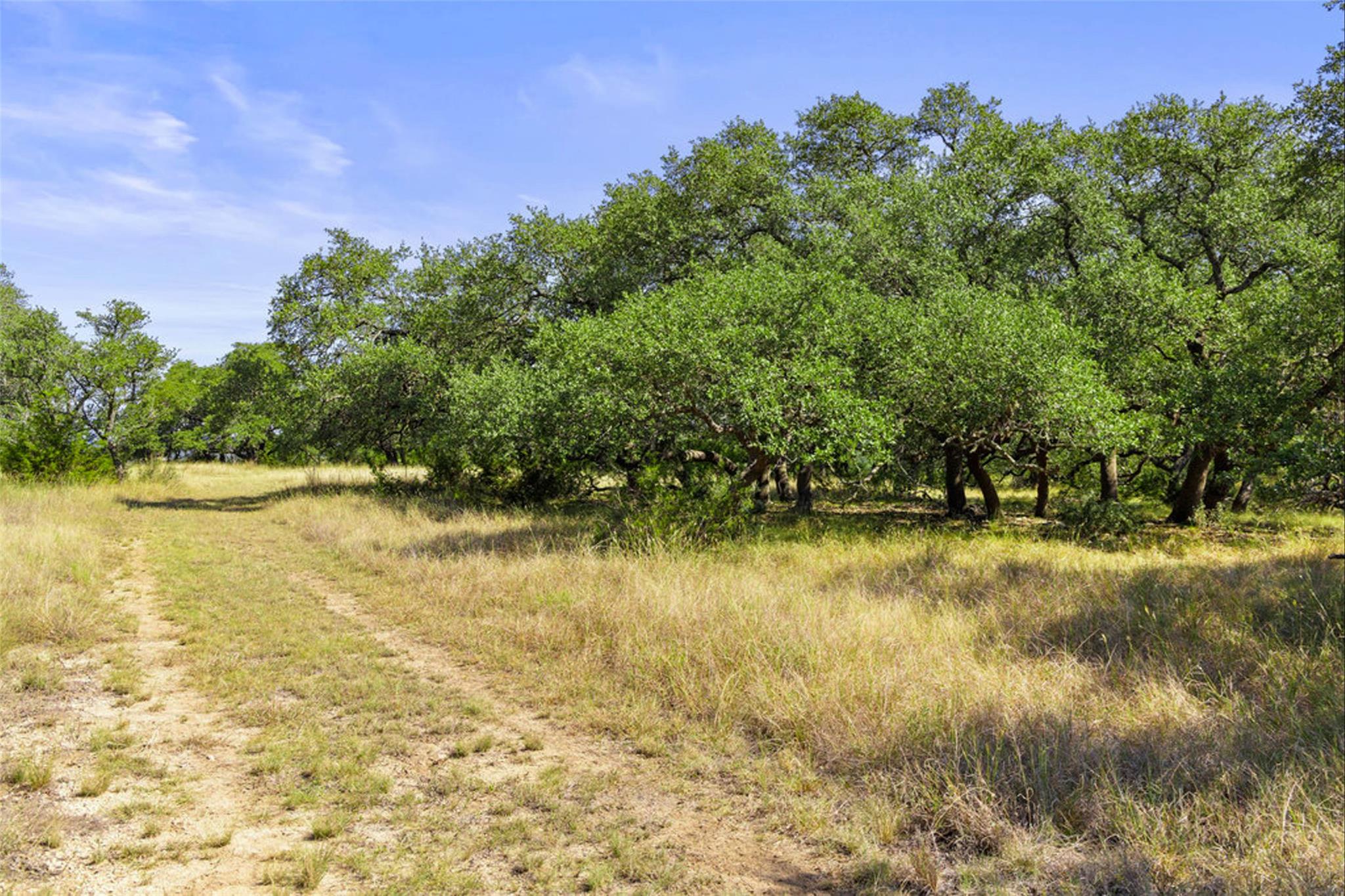 1655 N Walnut Springs Rd, Johnson City, TX 78636