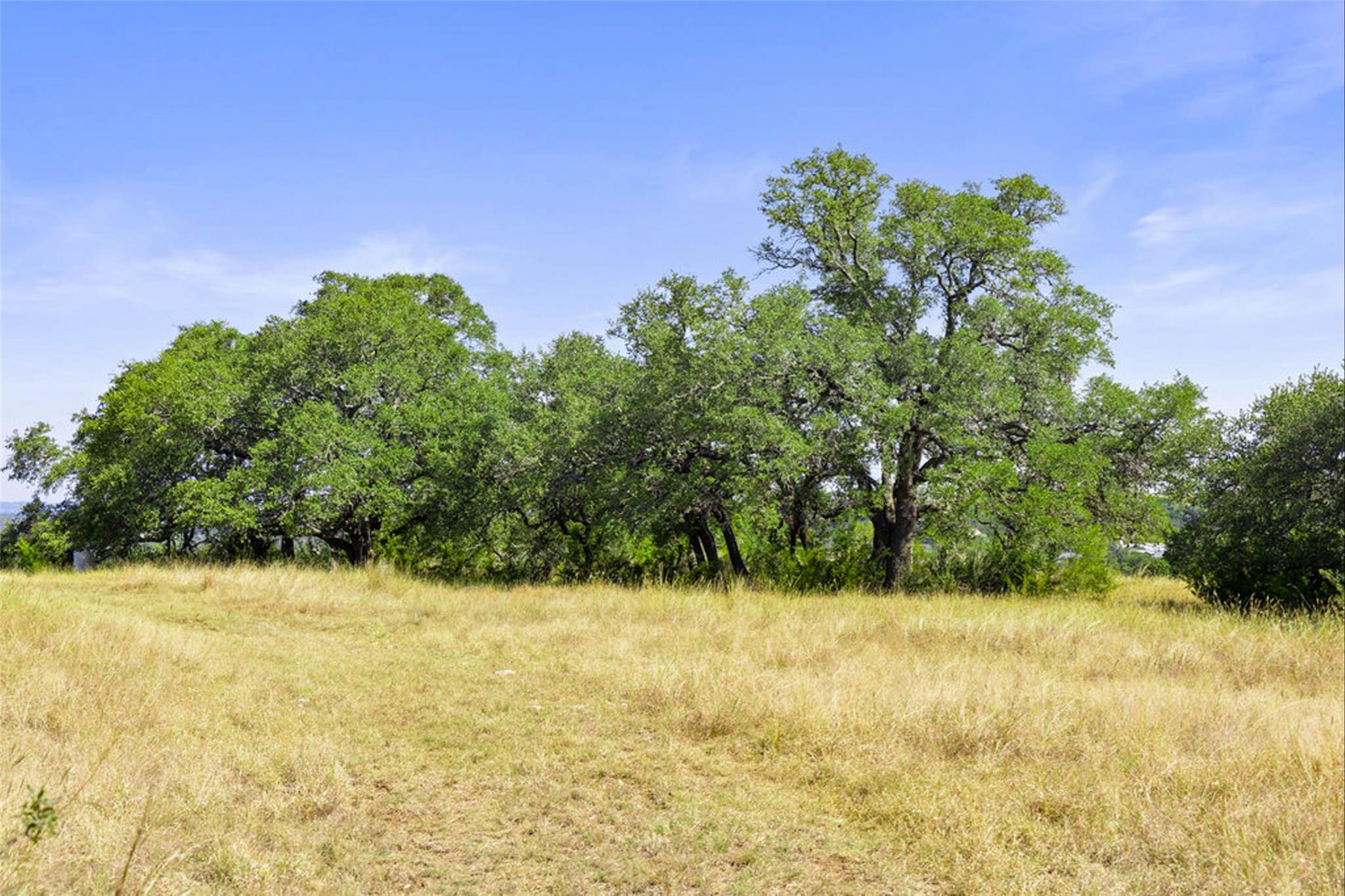 1655 N Walnut Springs Rd, Johnson City, TX 78636