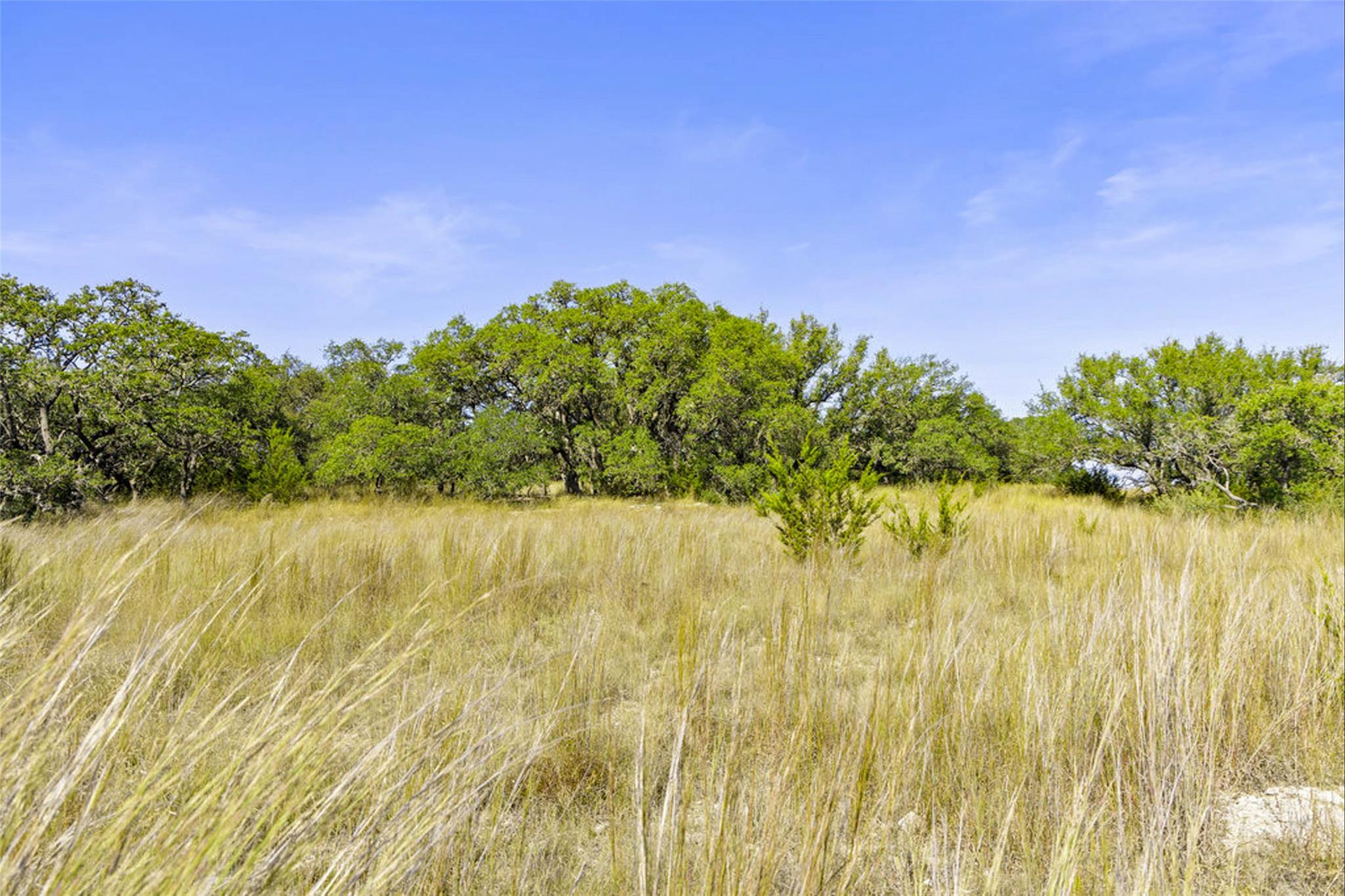 1655 N Walnut Springs Rd, Johnson City, TX 78636