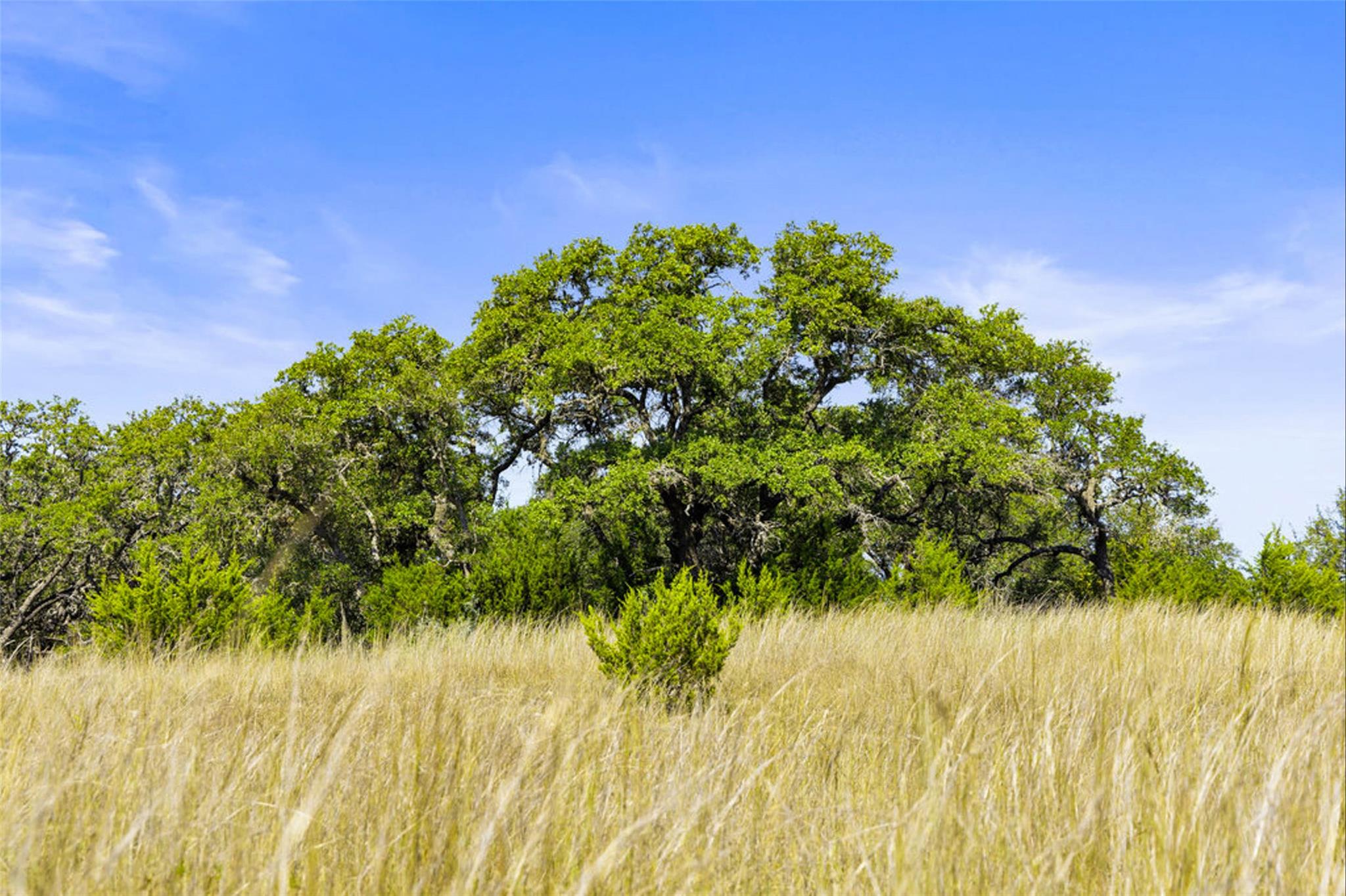 1655 N Walnut Springs Rd, Johnson City, TX 78636