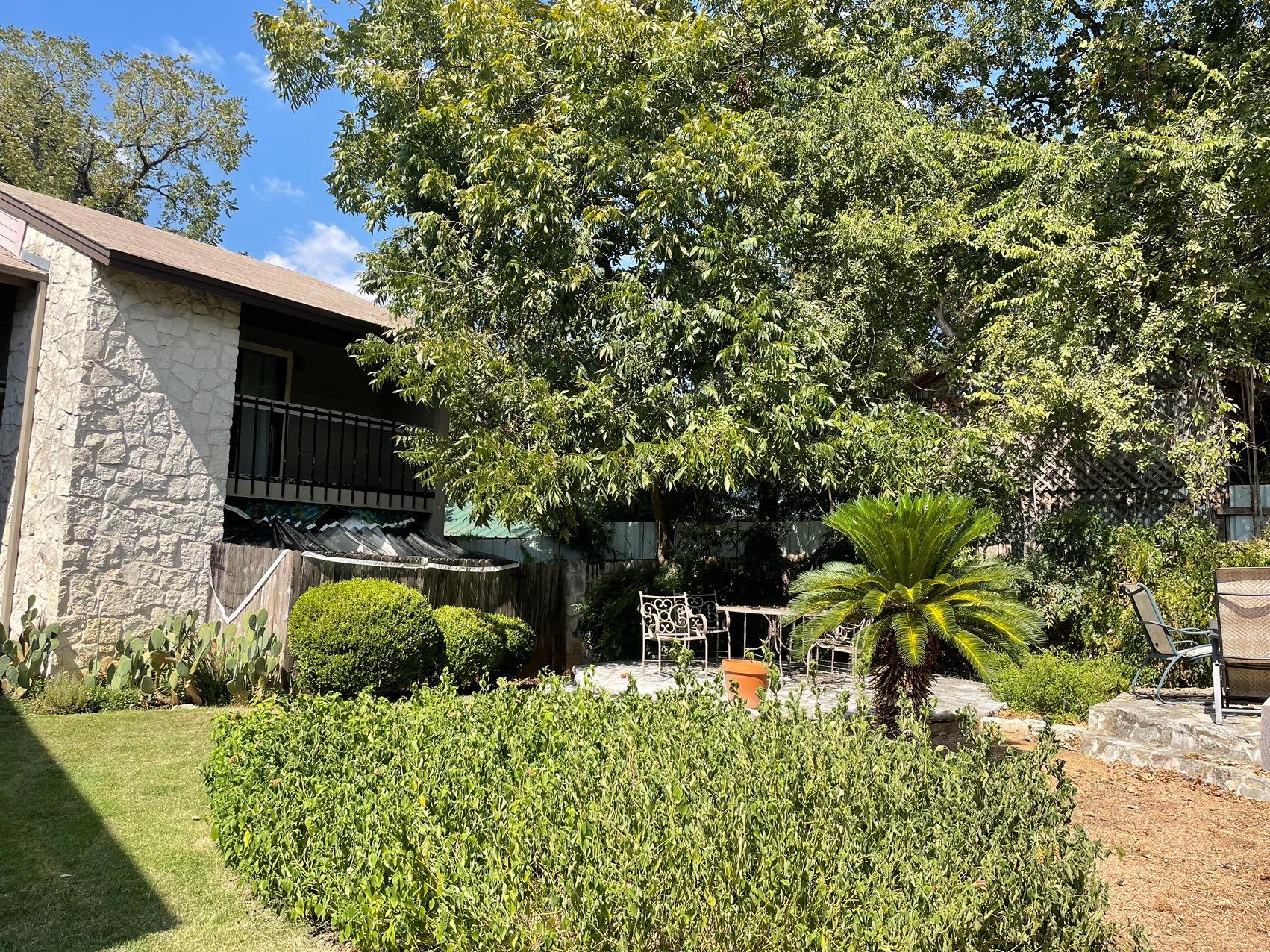 2410 Enfield Rd # 5, Austin, TX 78703