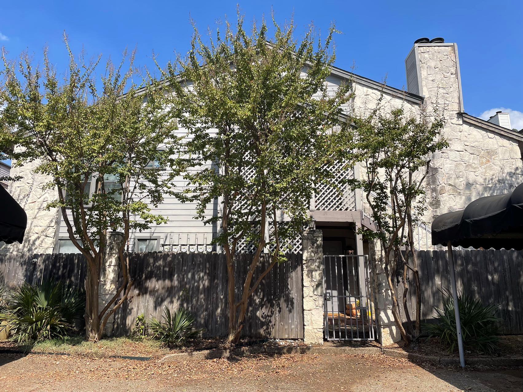 2410 Enfield Rd # 5, Austin, TX 78703