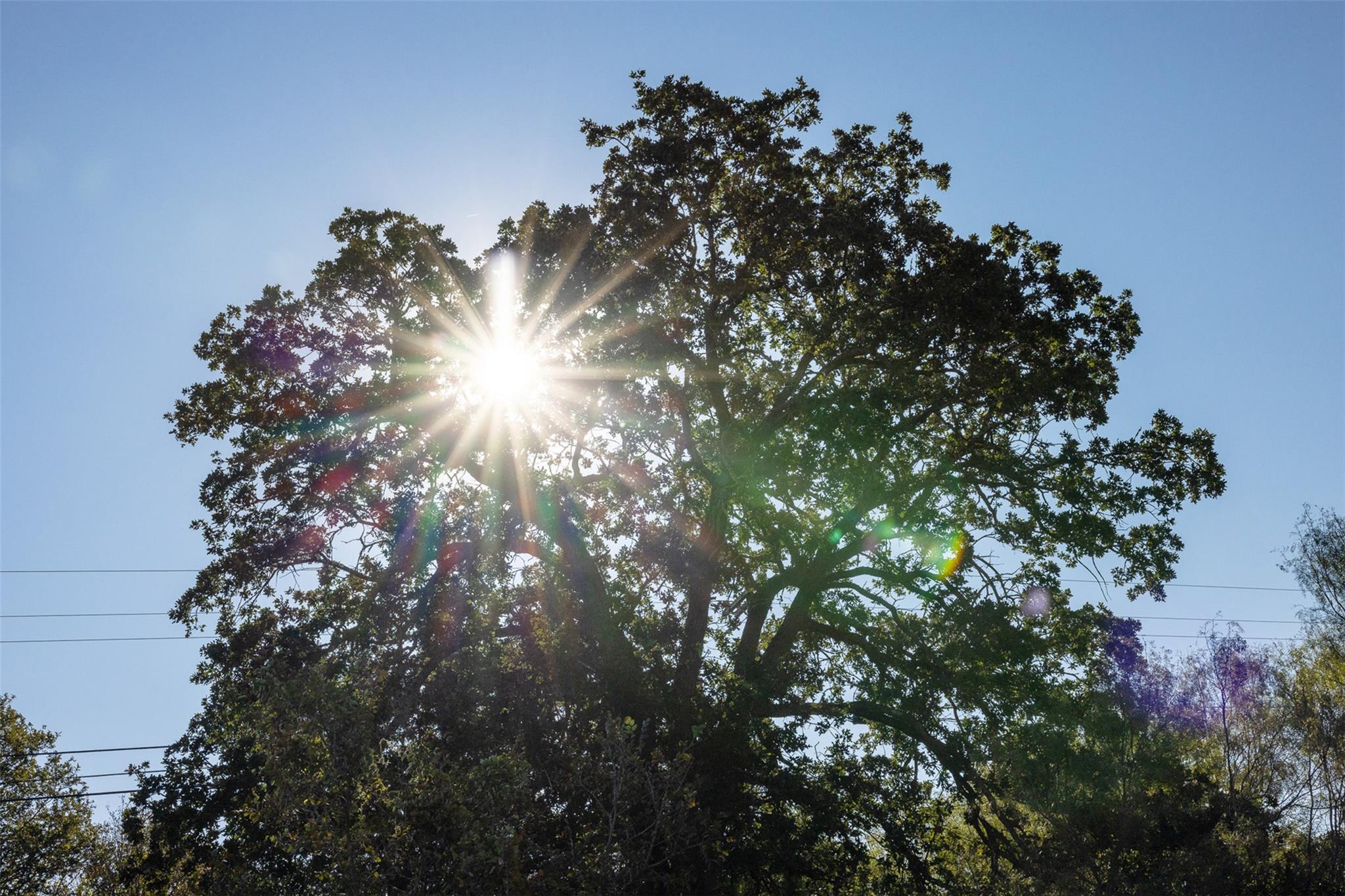 100 Westwood Rd, Lockhart, TX 78644