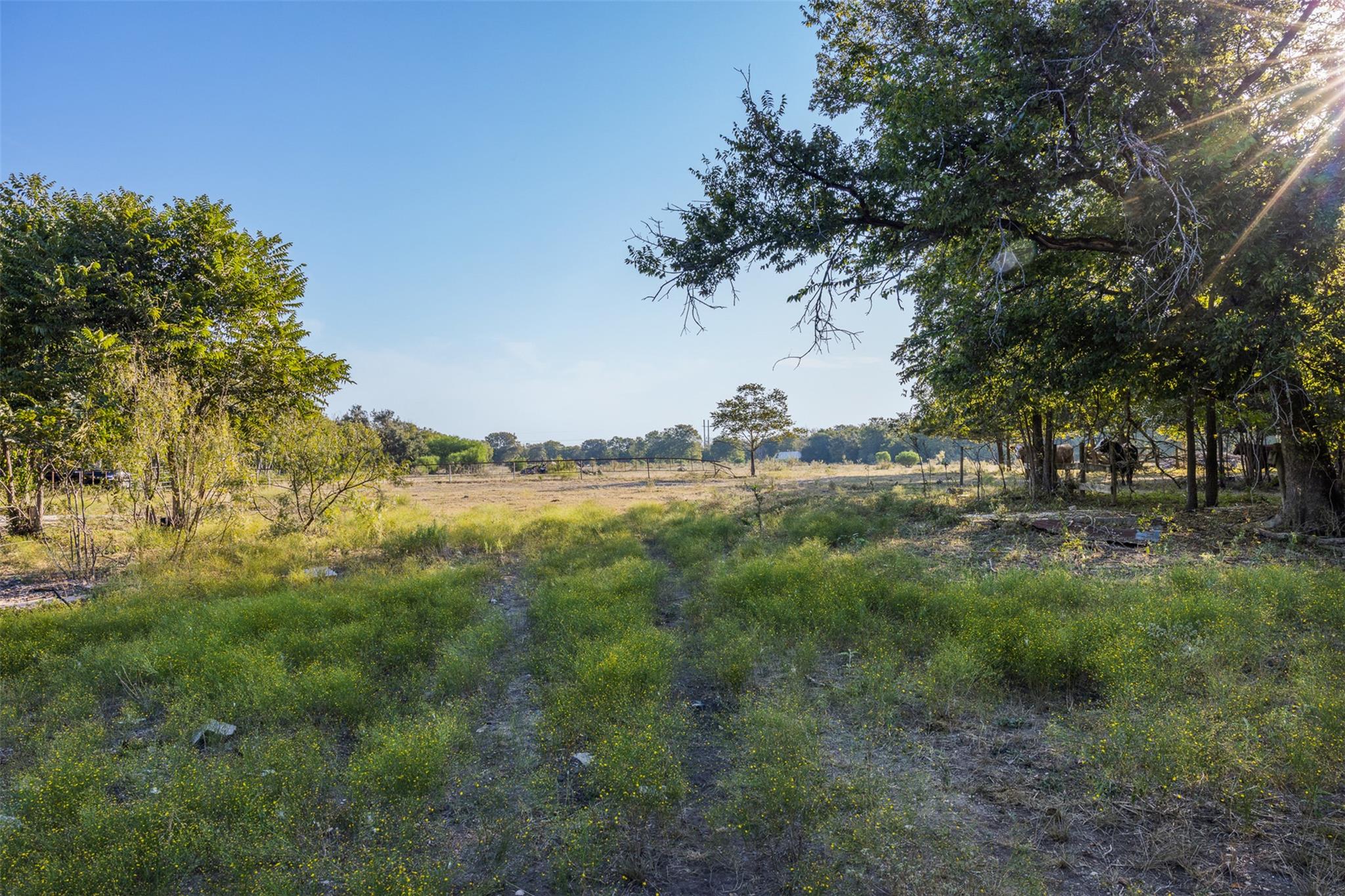 217 Robin Ranch Rd, Lockhart, TX 78644