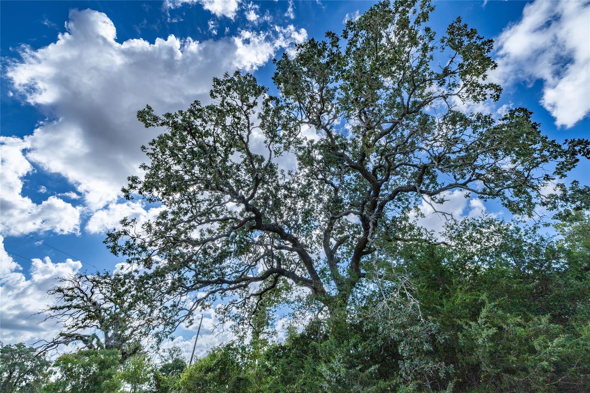 1350 Cattlemens Row, Lockhart, TX 78644