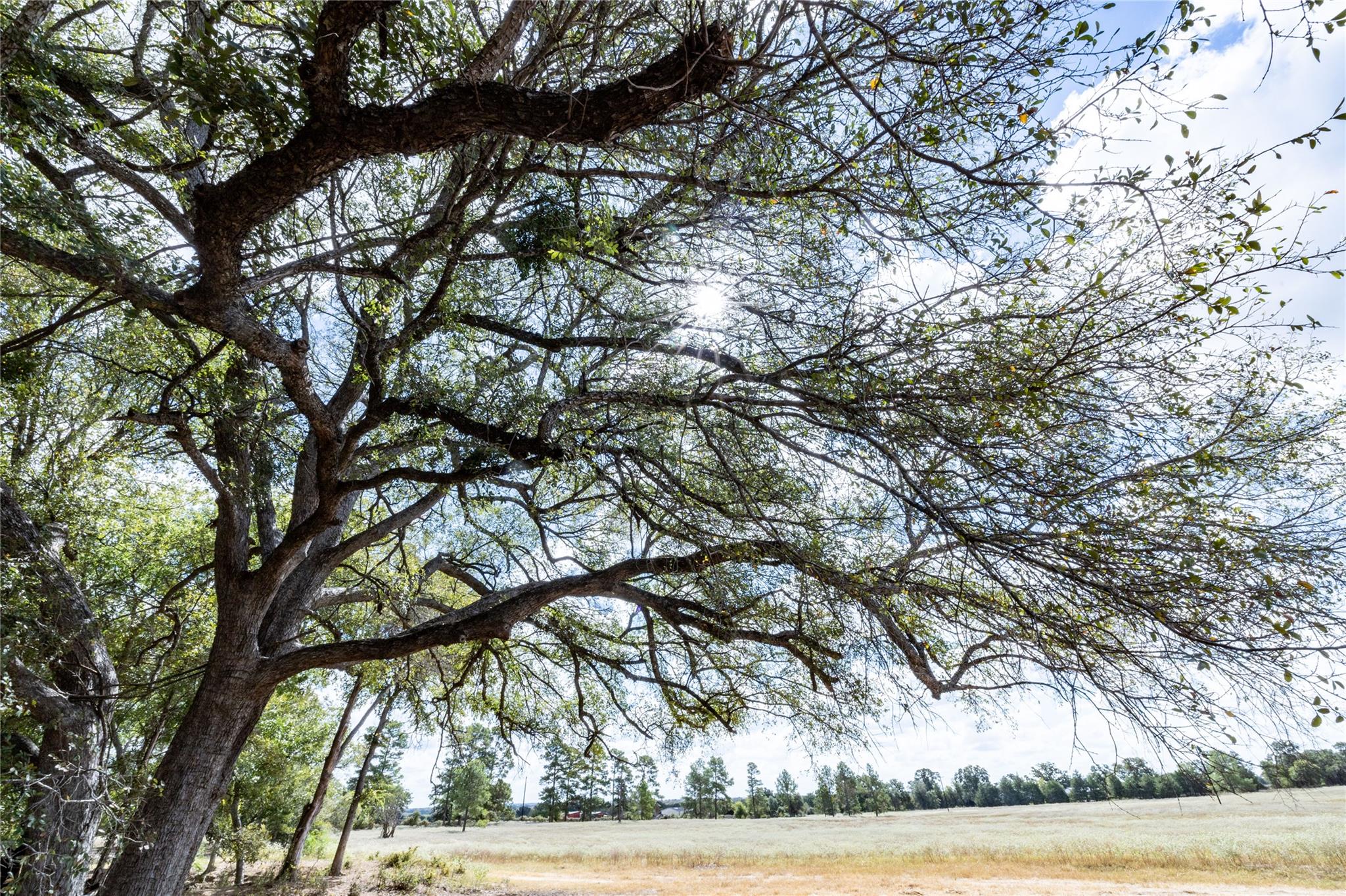 1350 Cattlemens Row, Lockhart, TX 78644