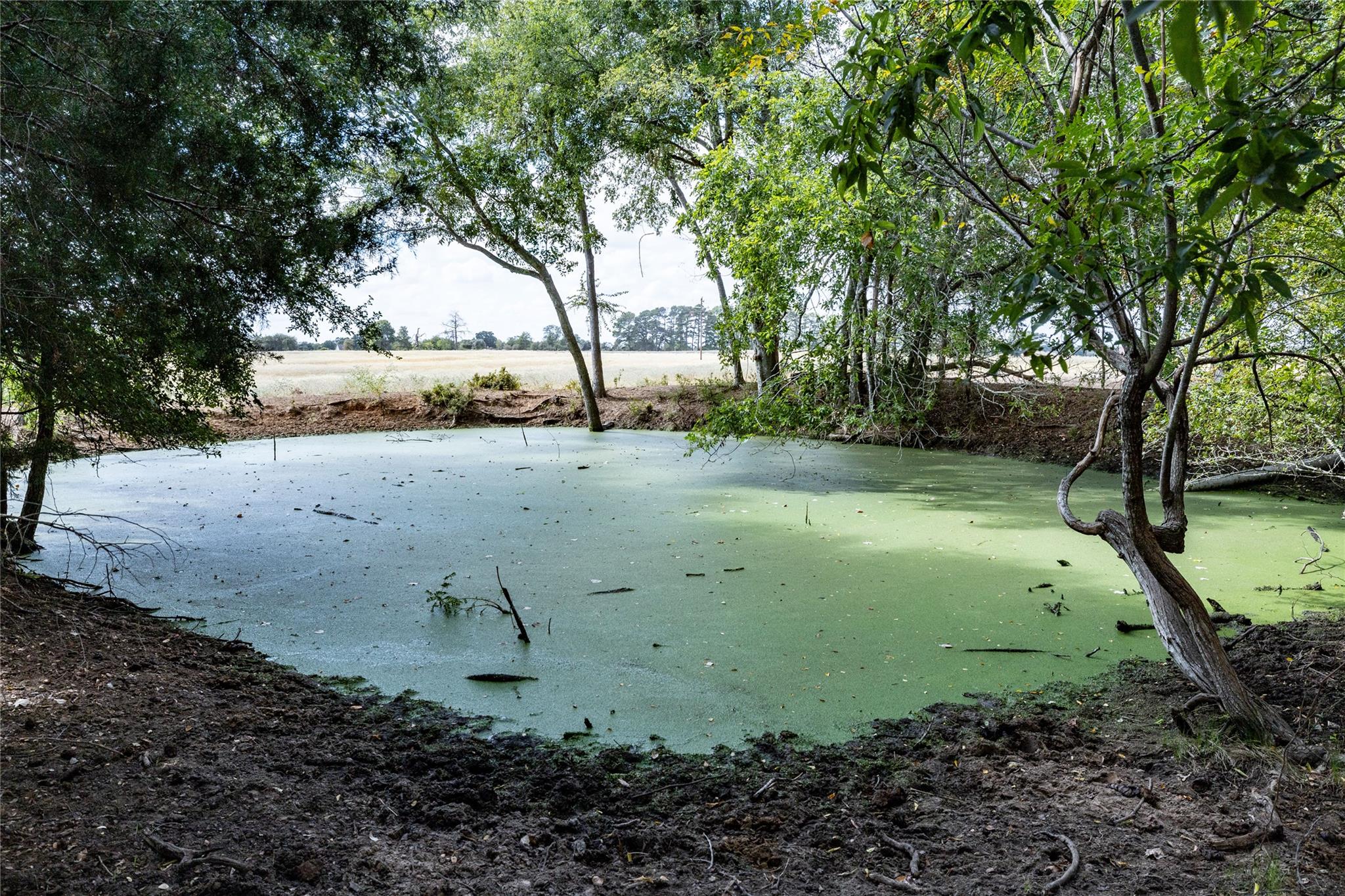 1350 Cattlemens Row, Lockhart, TX 78644