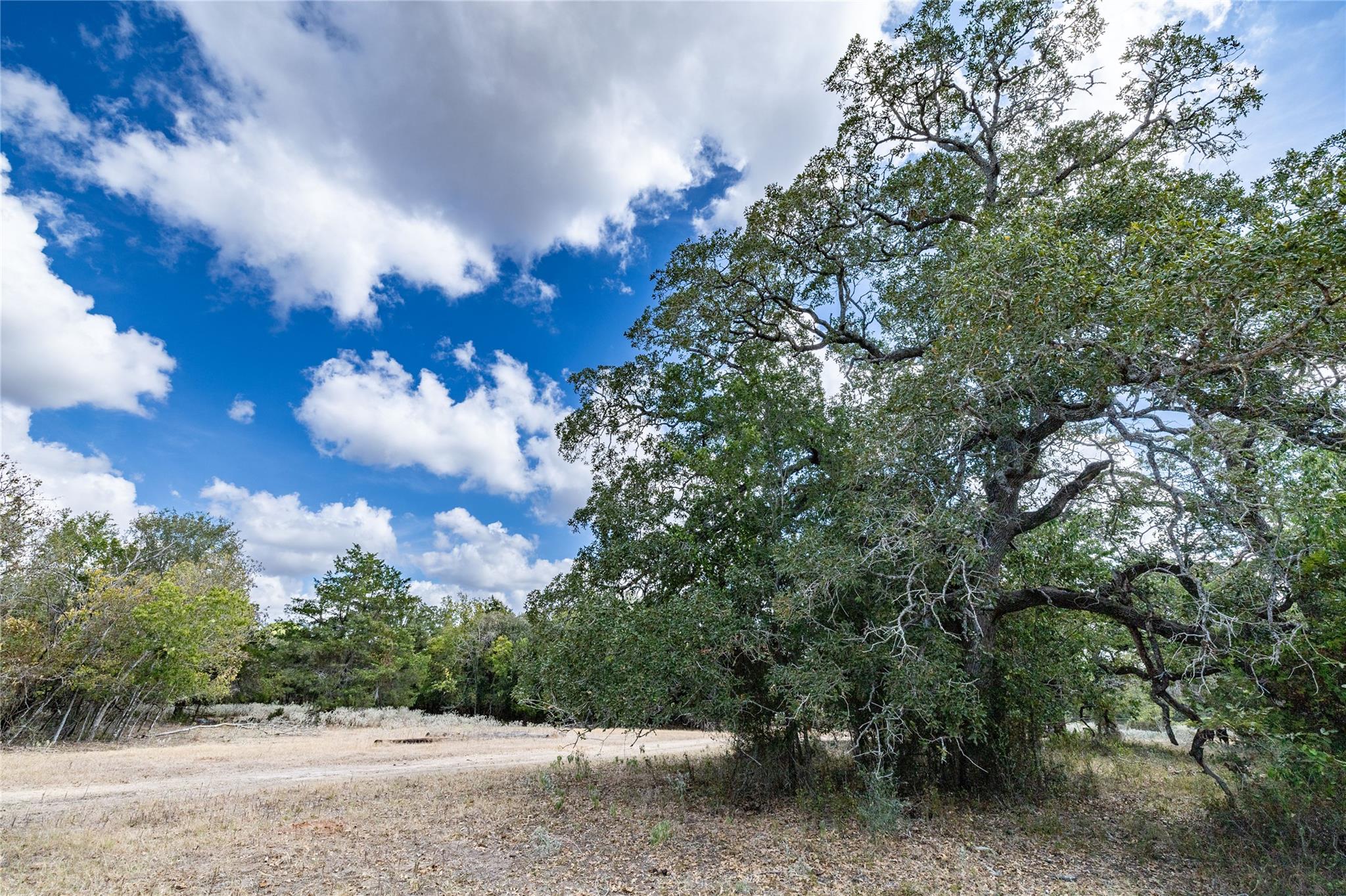 1350 Cattlemens Row, Lockhart, TX 78644