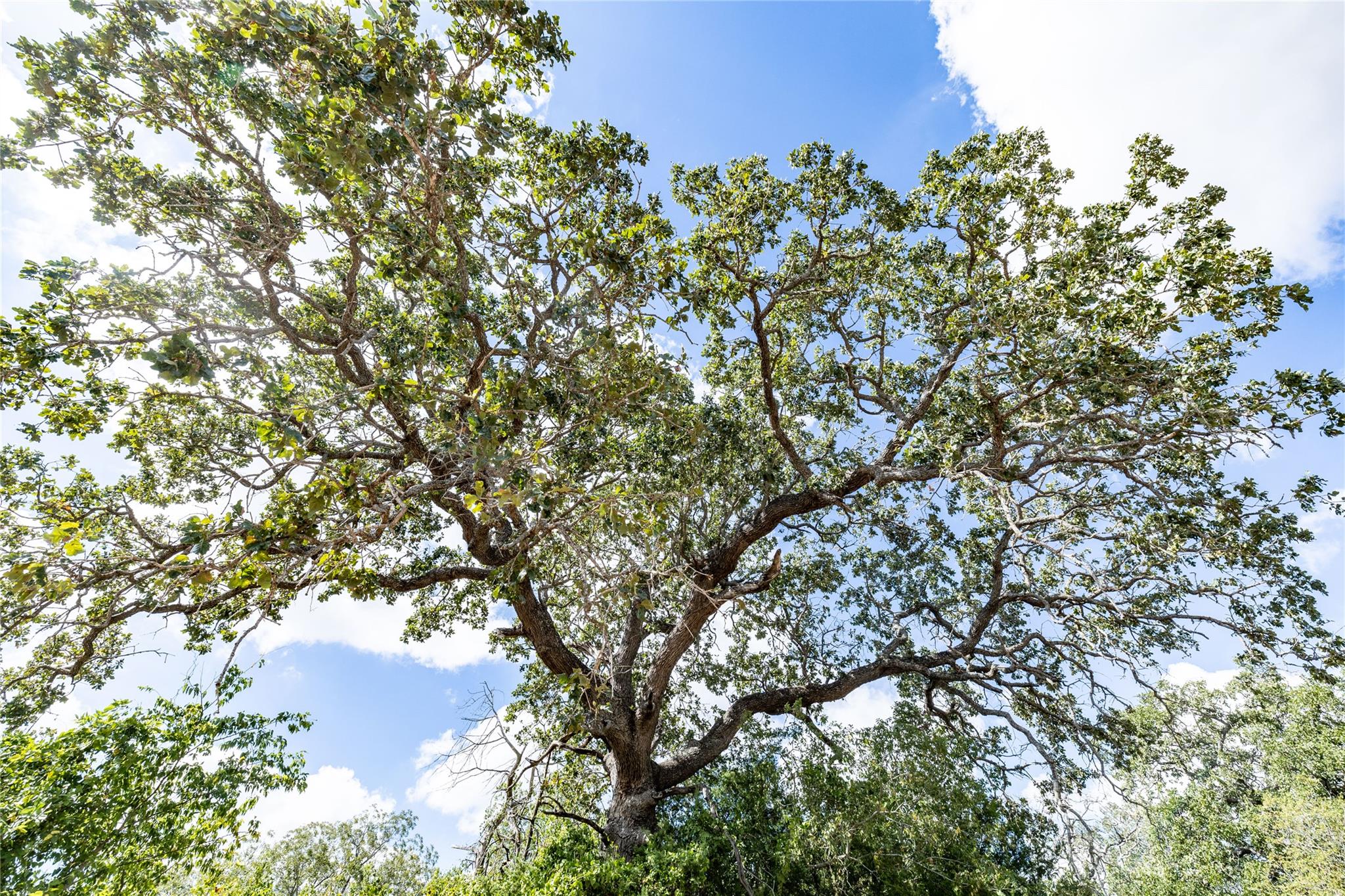 1350 Cattlemens Row, Lockhart, TX 78644