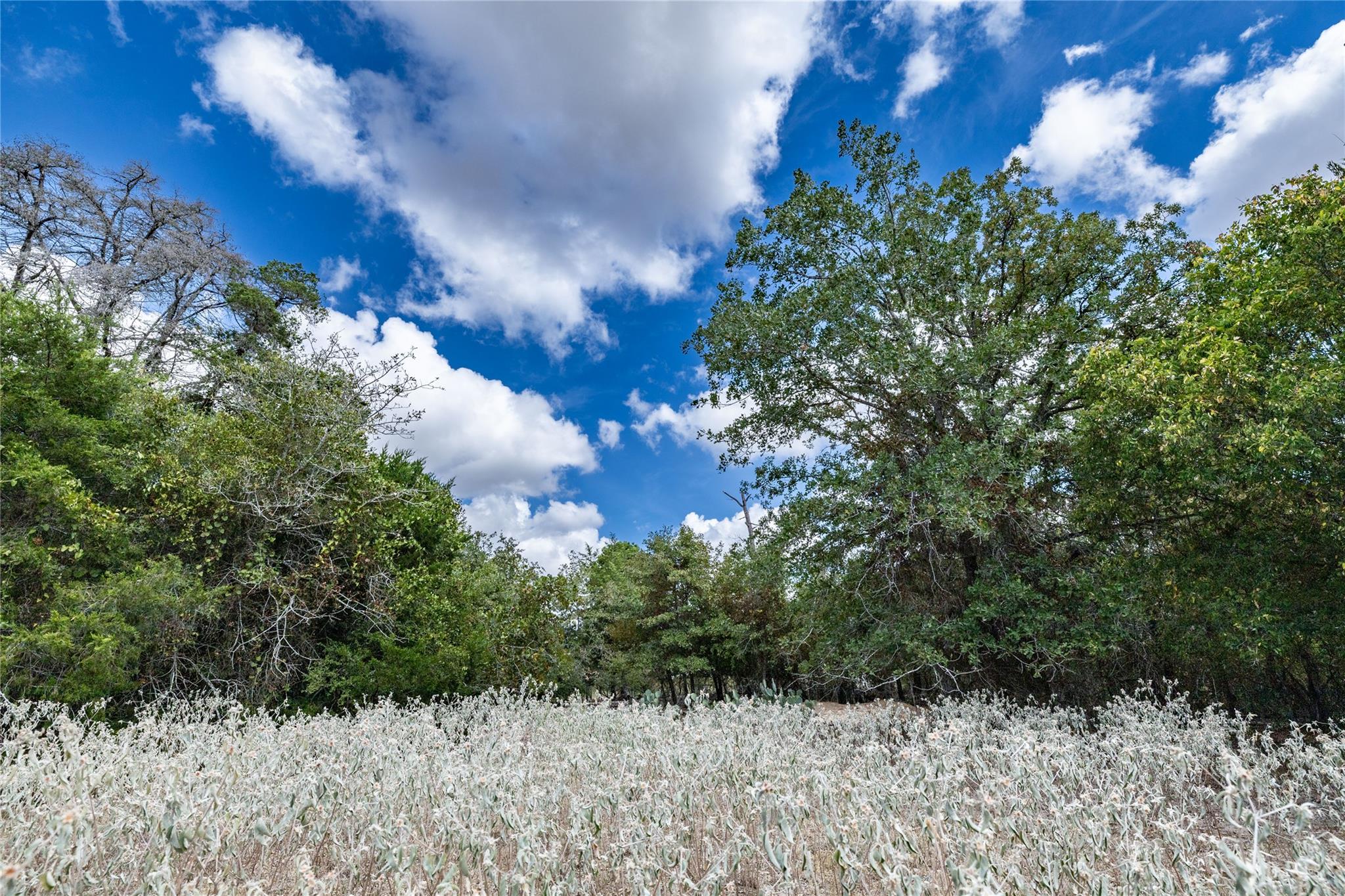 1350 Cattlemens Row, Lockhart, TX 78644