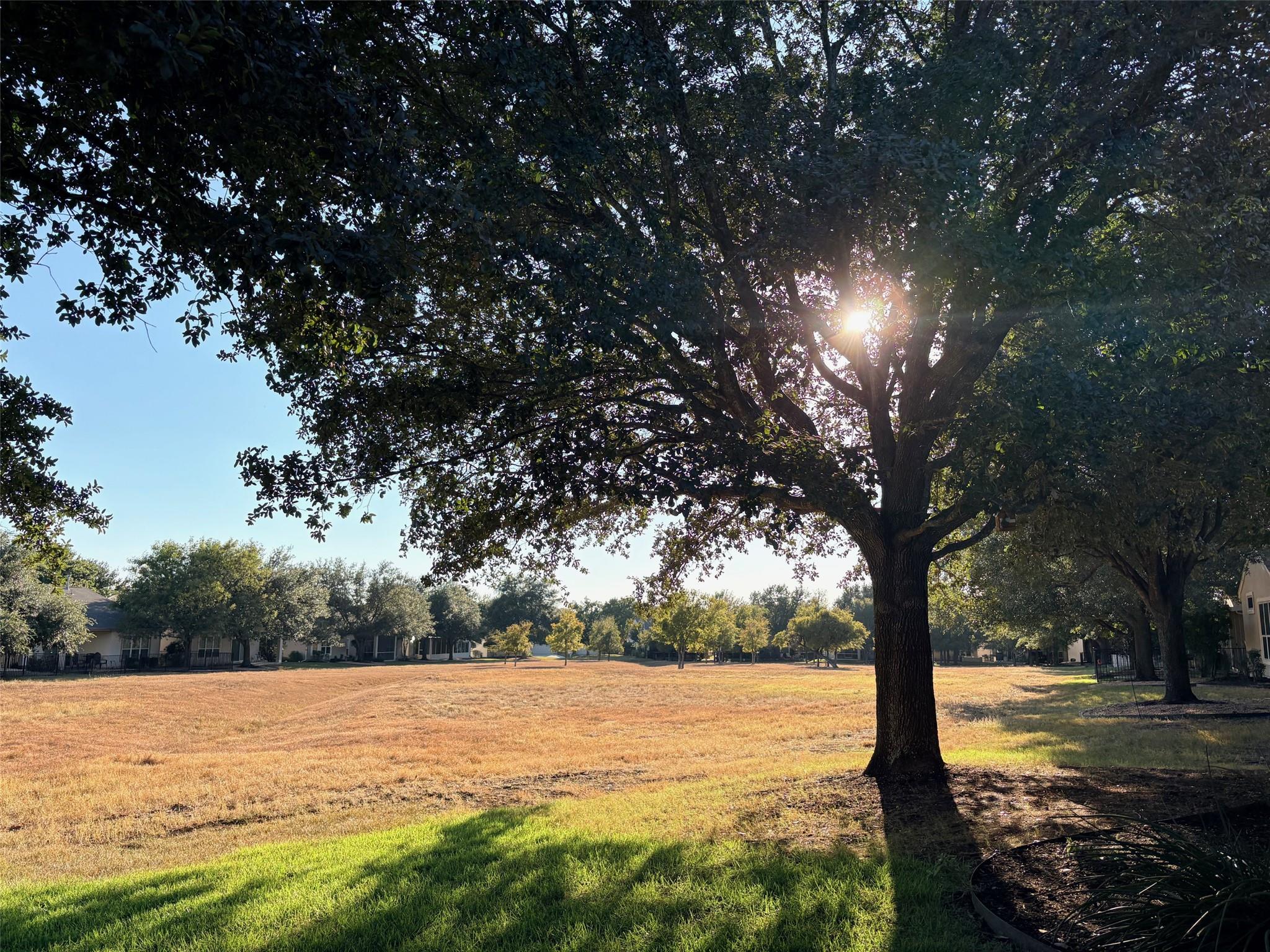 318 Crockett Loop, Georgetown, TX 78633