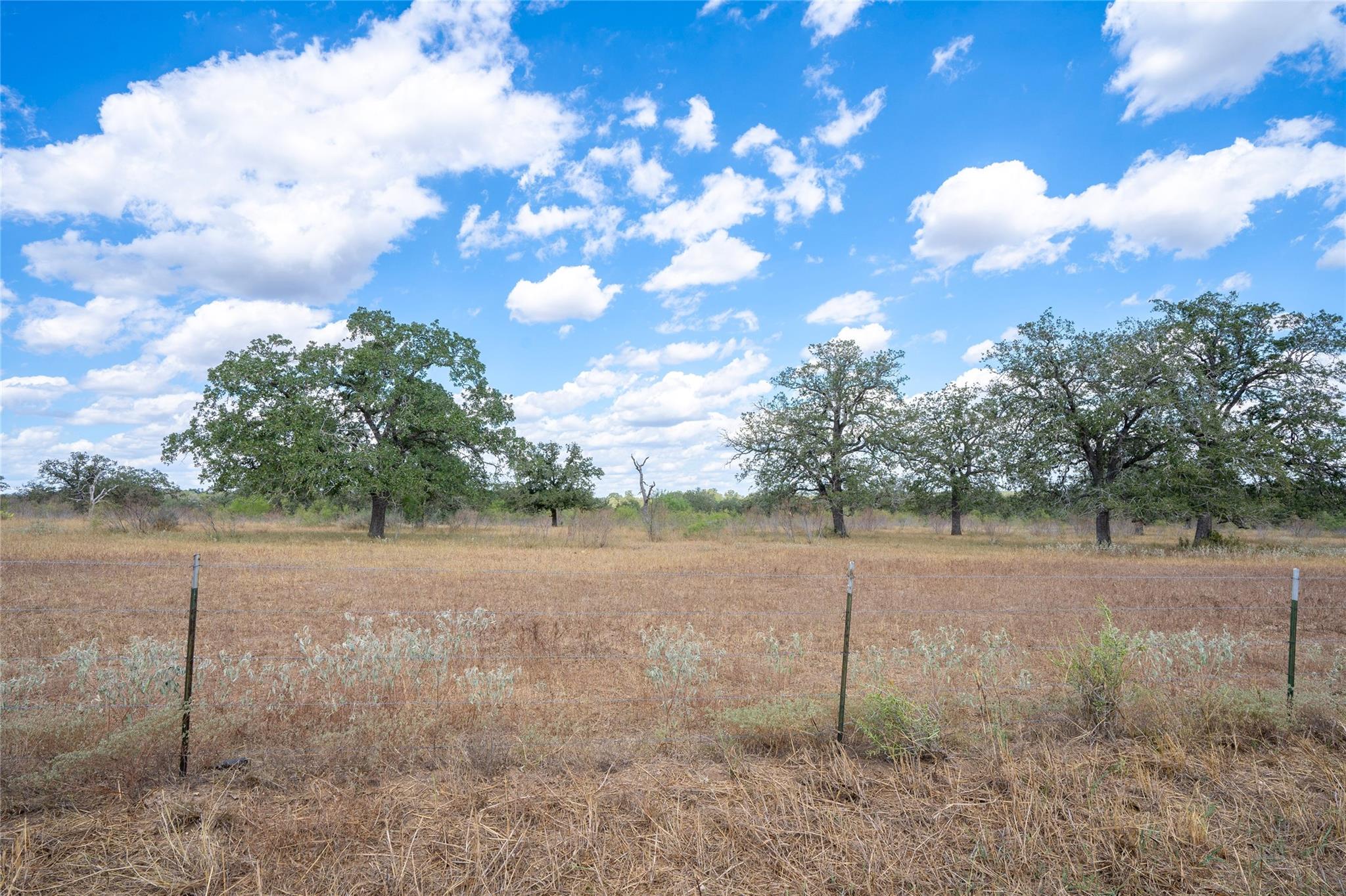 TBD Nash Creek Rd, Kingsbury, TX 78638