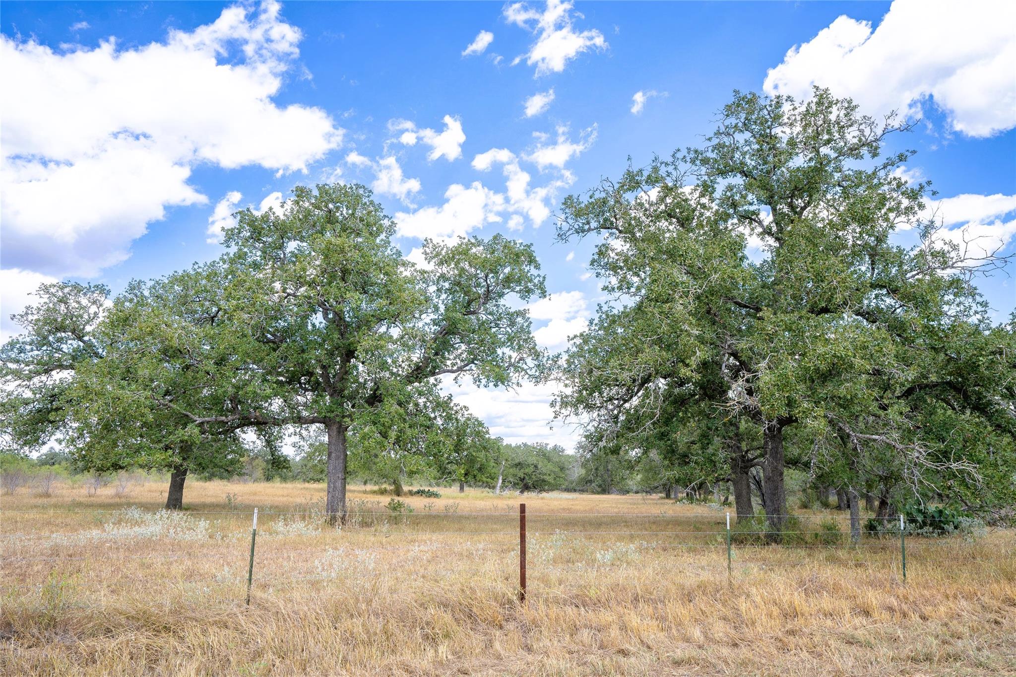 TBD Nash Creek Rd, Kingsbury, TX 78638