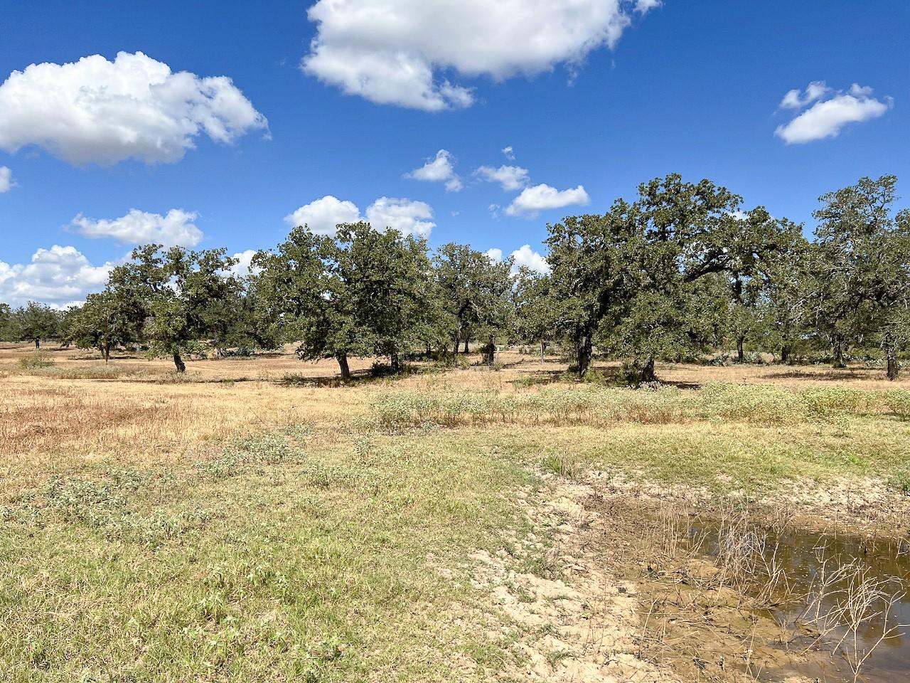 TBD Nash Creek Rd, Kingsbury, TX 78638