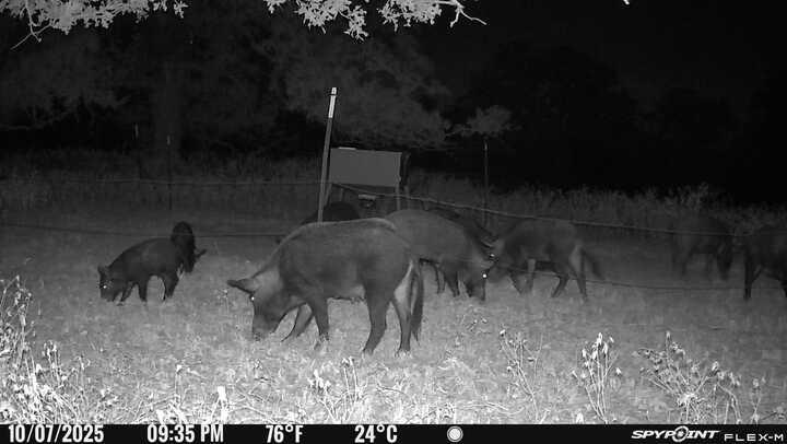 TBD Nash Creek Rd, Kingsbury, TX 78638