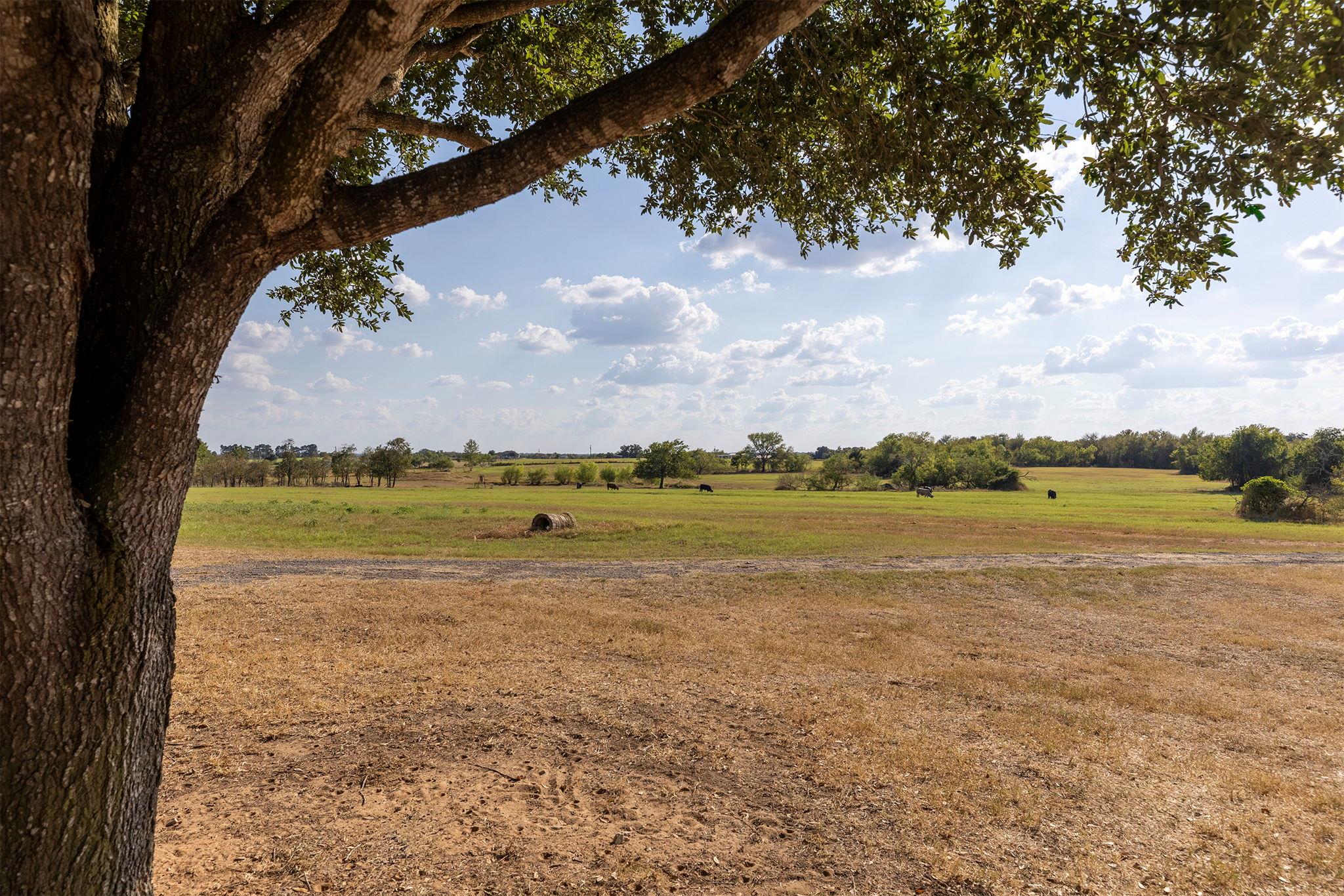 1124 County Road 301, Elgin, TX 78621